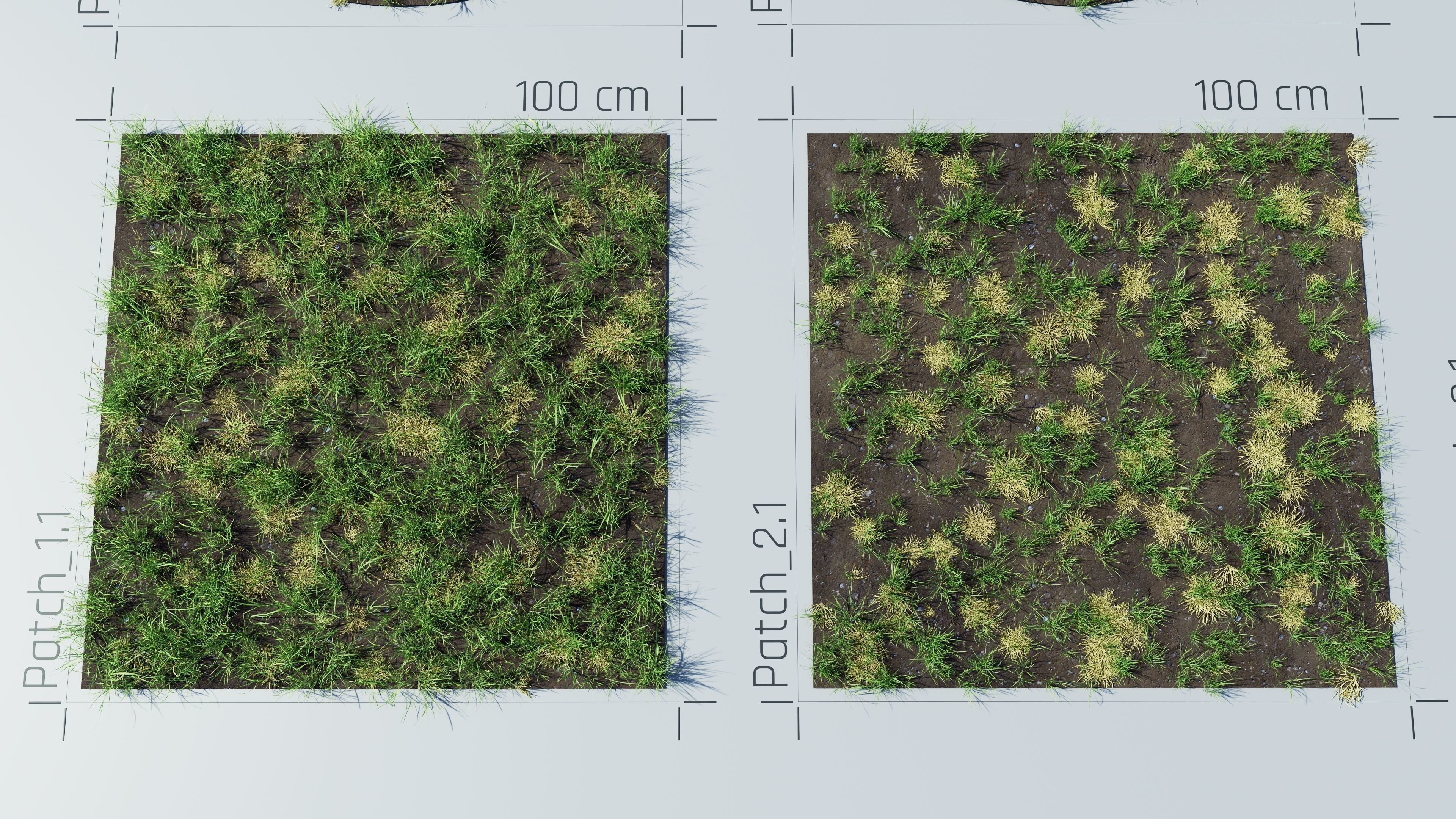 Realistic Grass Pack - CGrass v2 Low-poly 3D model_34