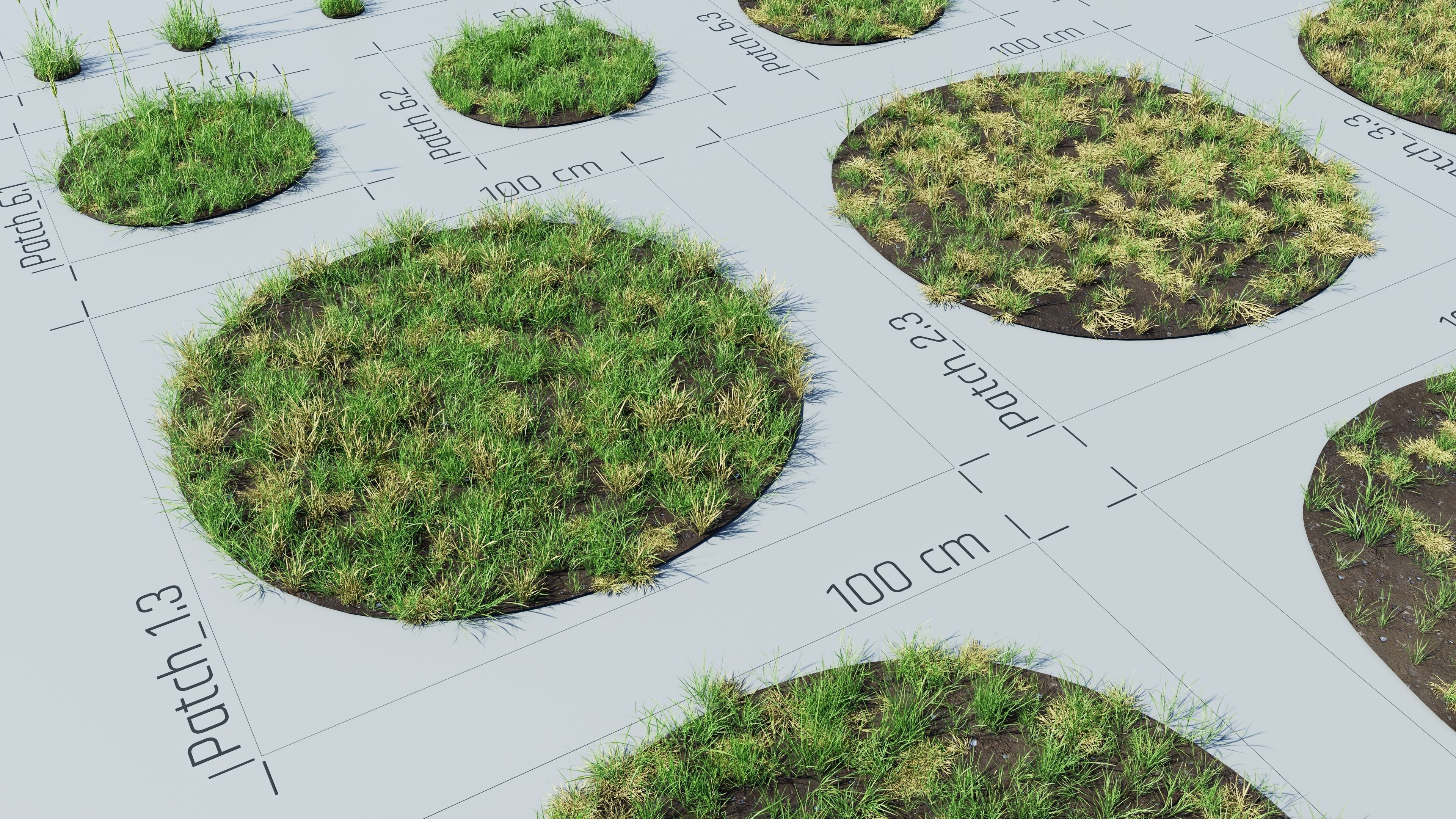 Realistic Grass Pack - CGrass v2 Low-poly 3D model_26