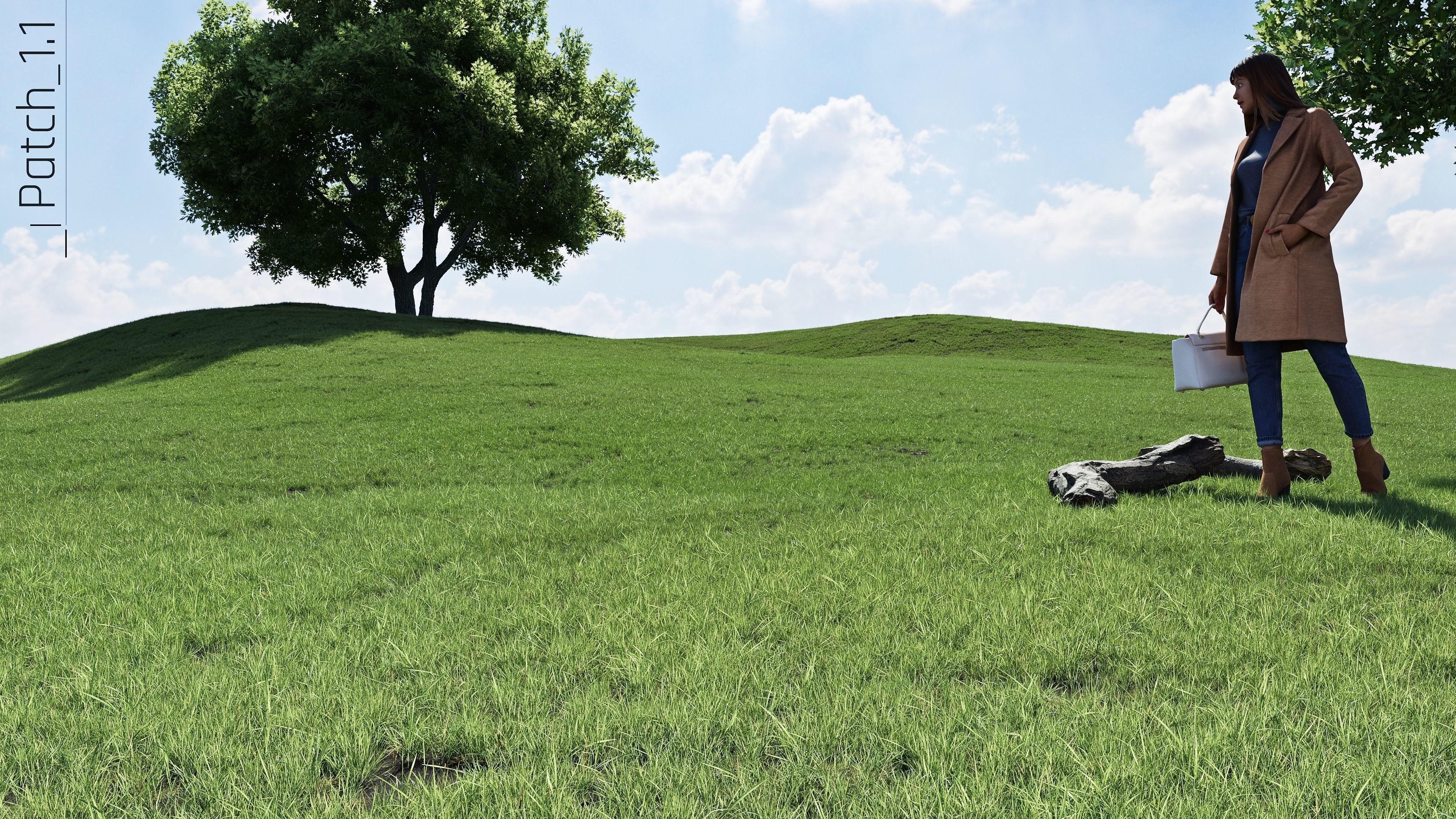 Realistic Grass Pack - CGrass v2 Low-poly 3D model_56