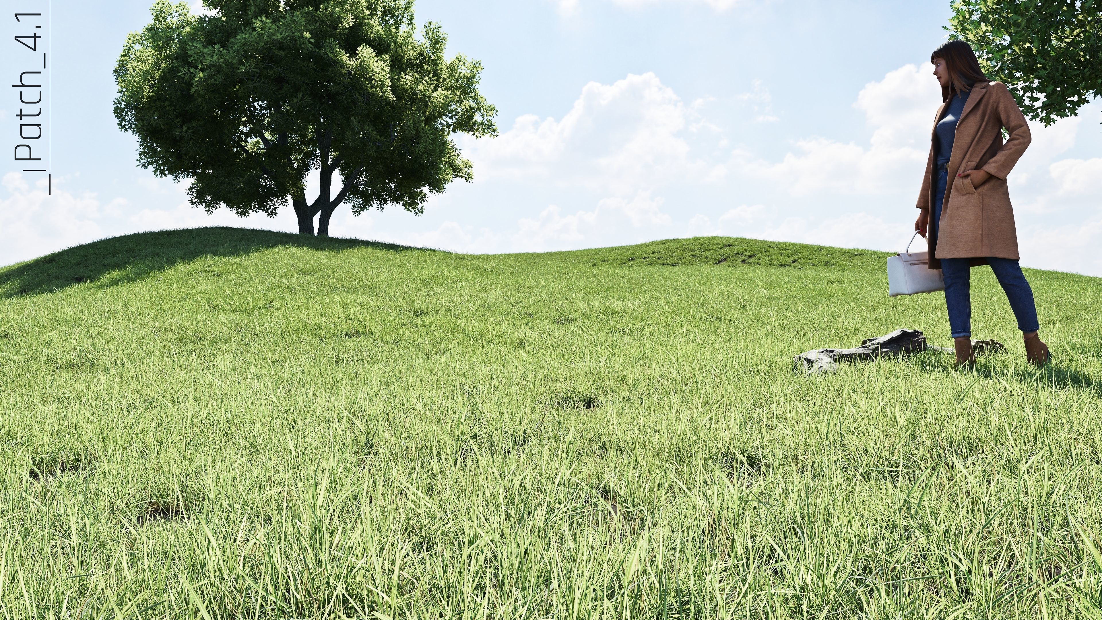 Realistic Grass Pack - CGrass v2 Low-poly 3D model_61