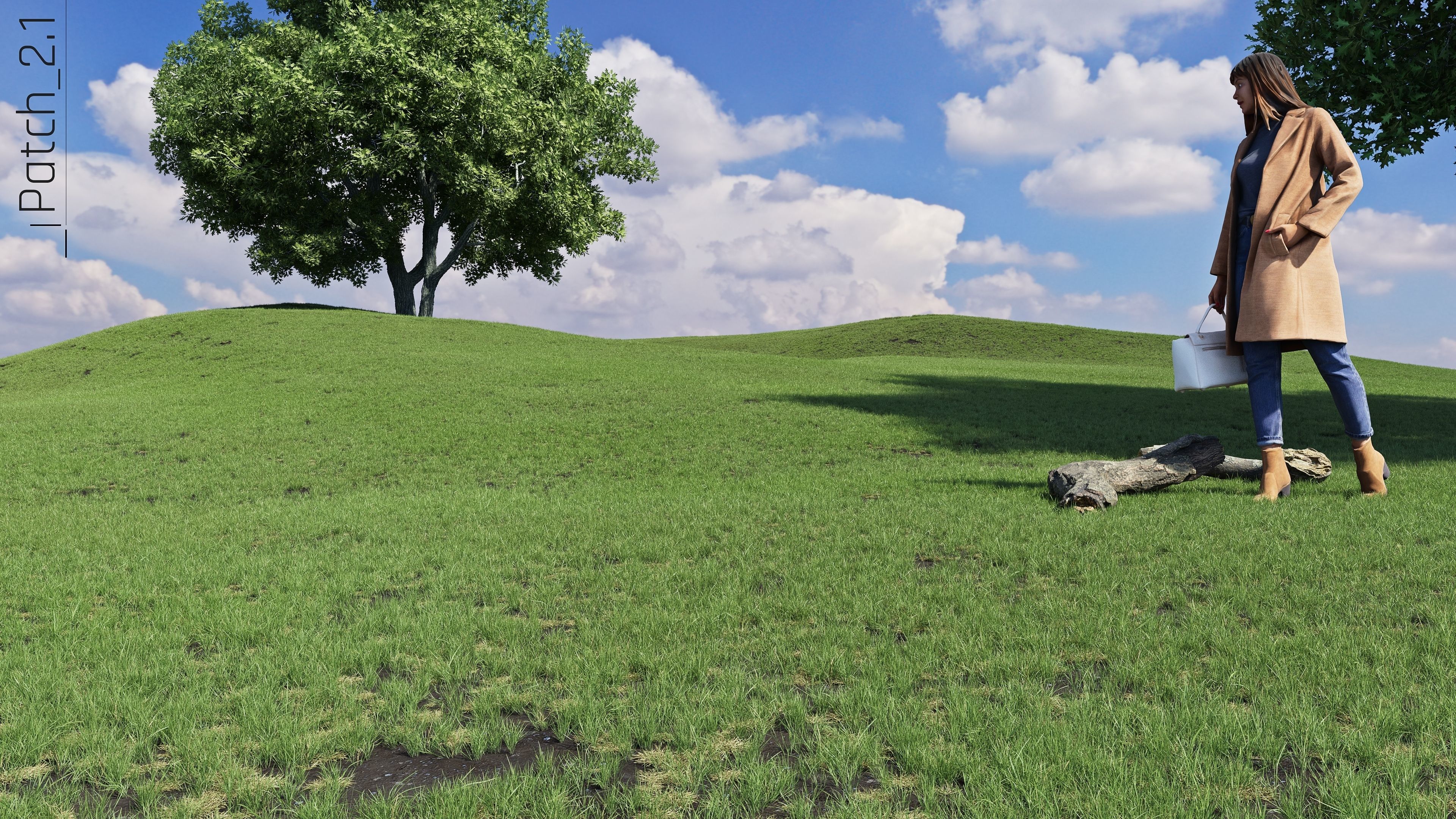 Realistic Grass Pack - CGrass v2 Low-poly 3D model_55