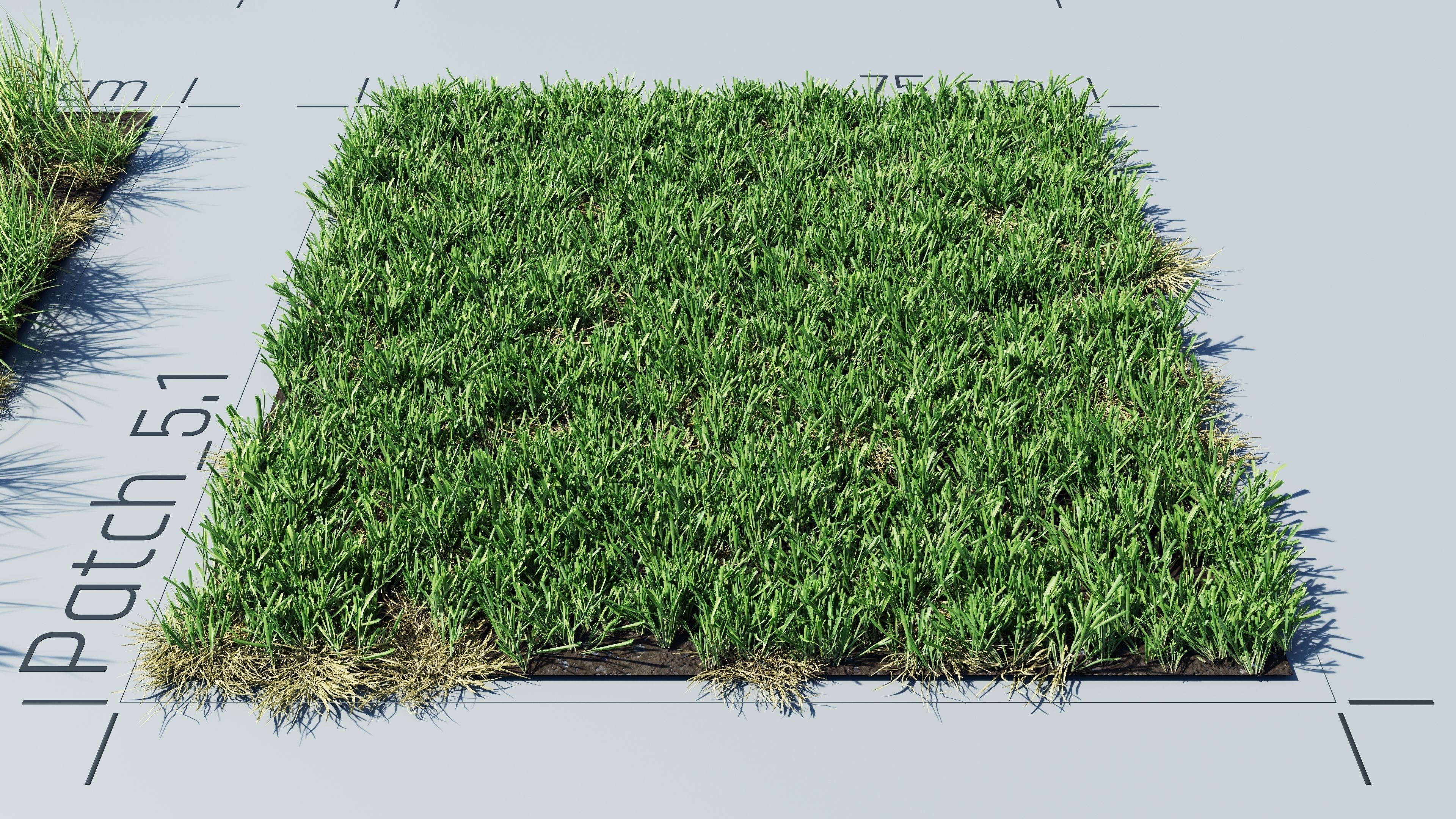 Realistic Grass Pack - CGrass v2 Low-poly 3D model_15