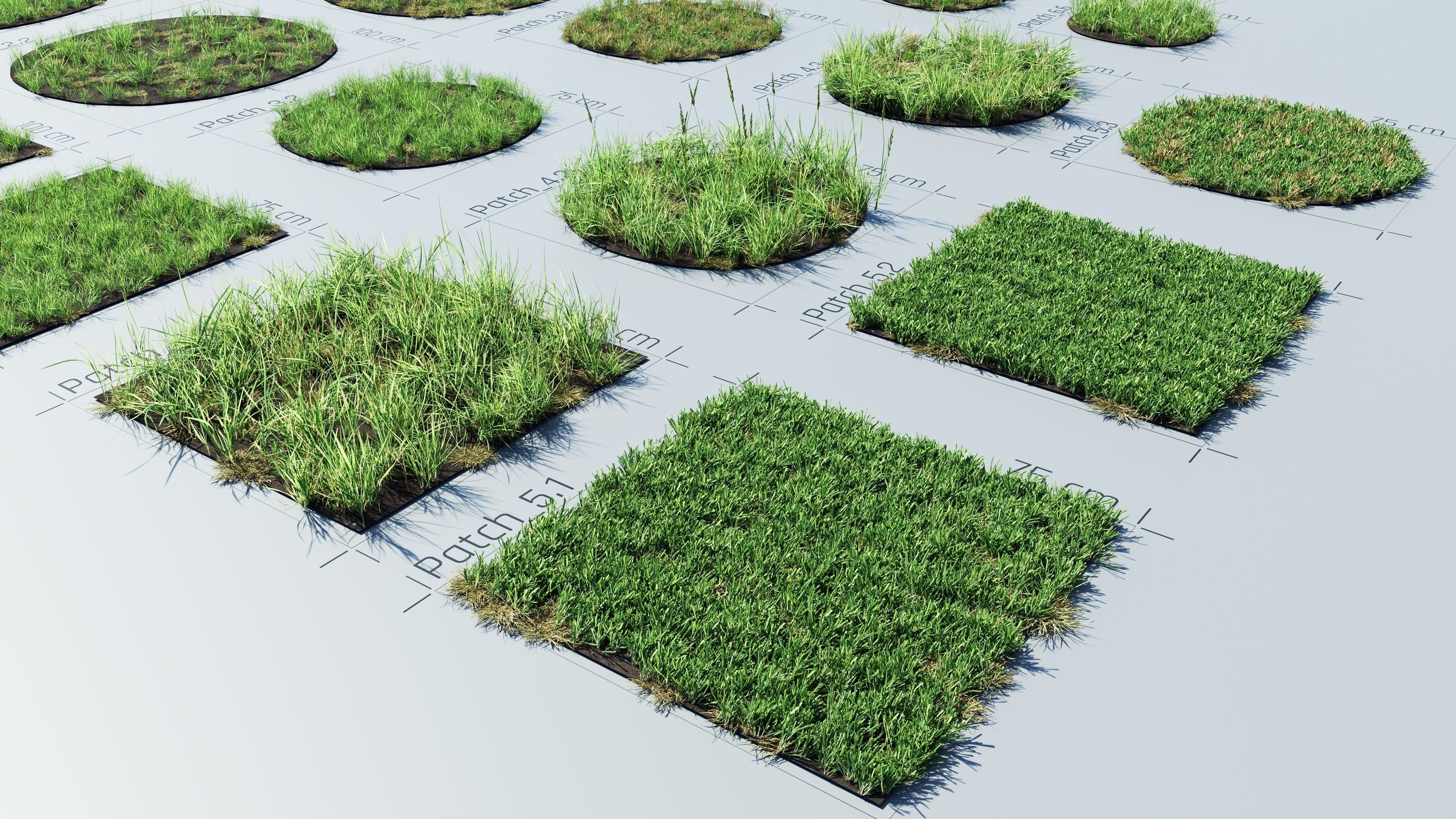 Realistic Grass Pack - CGrass v2 Low-poly 3D model_45