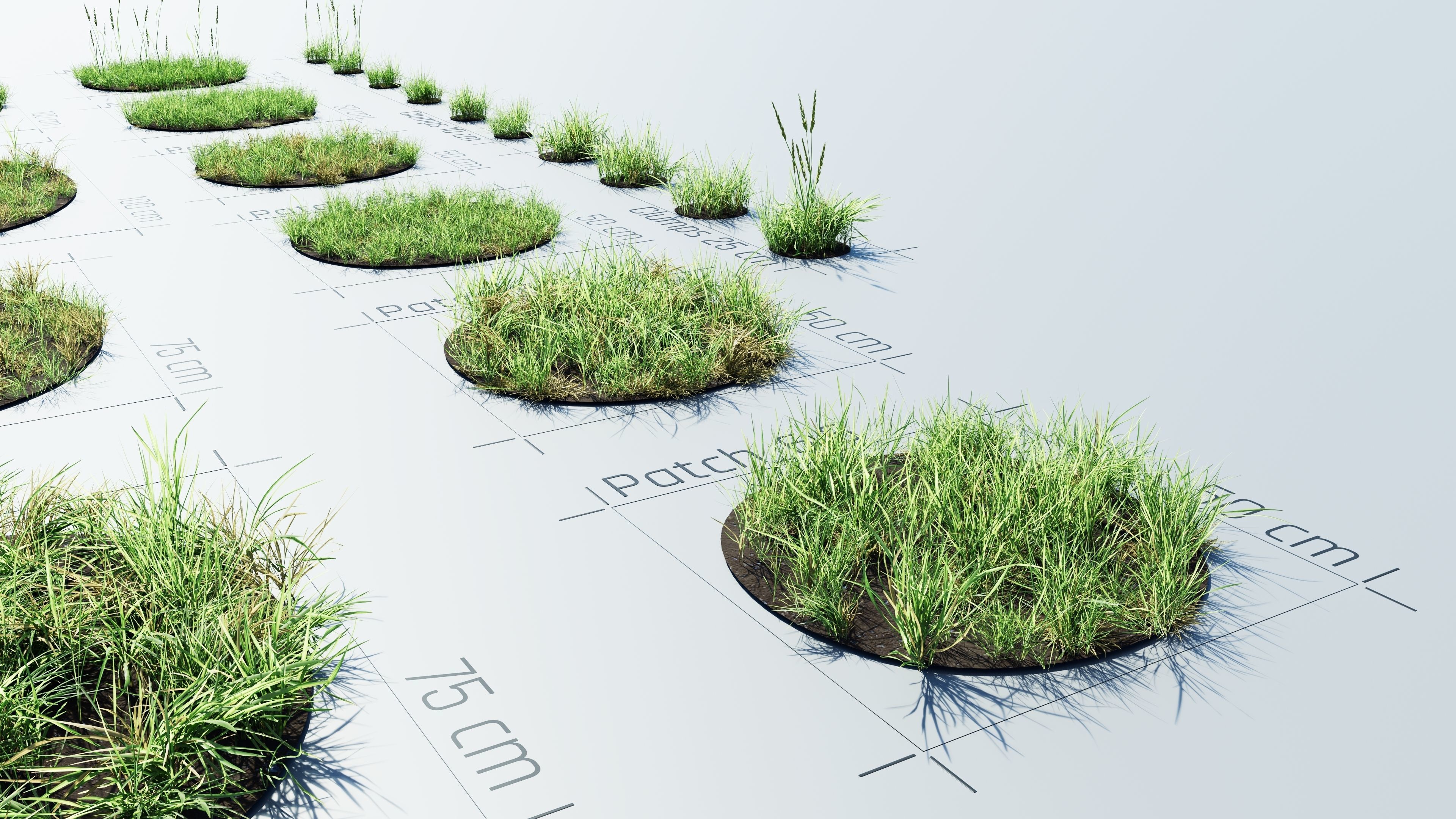 Realistic Grass Pack - CGrass v2 Low-poly 3D model_42