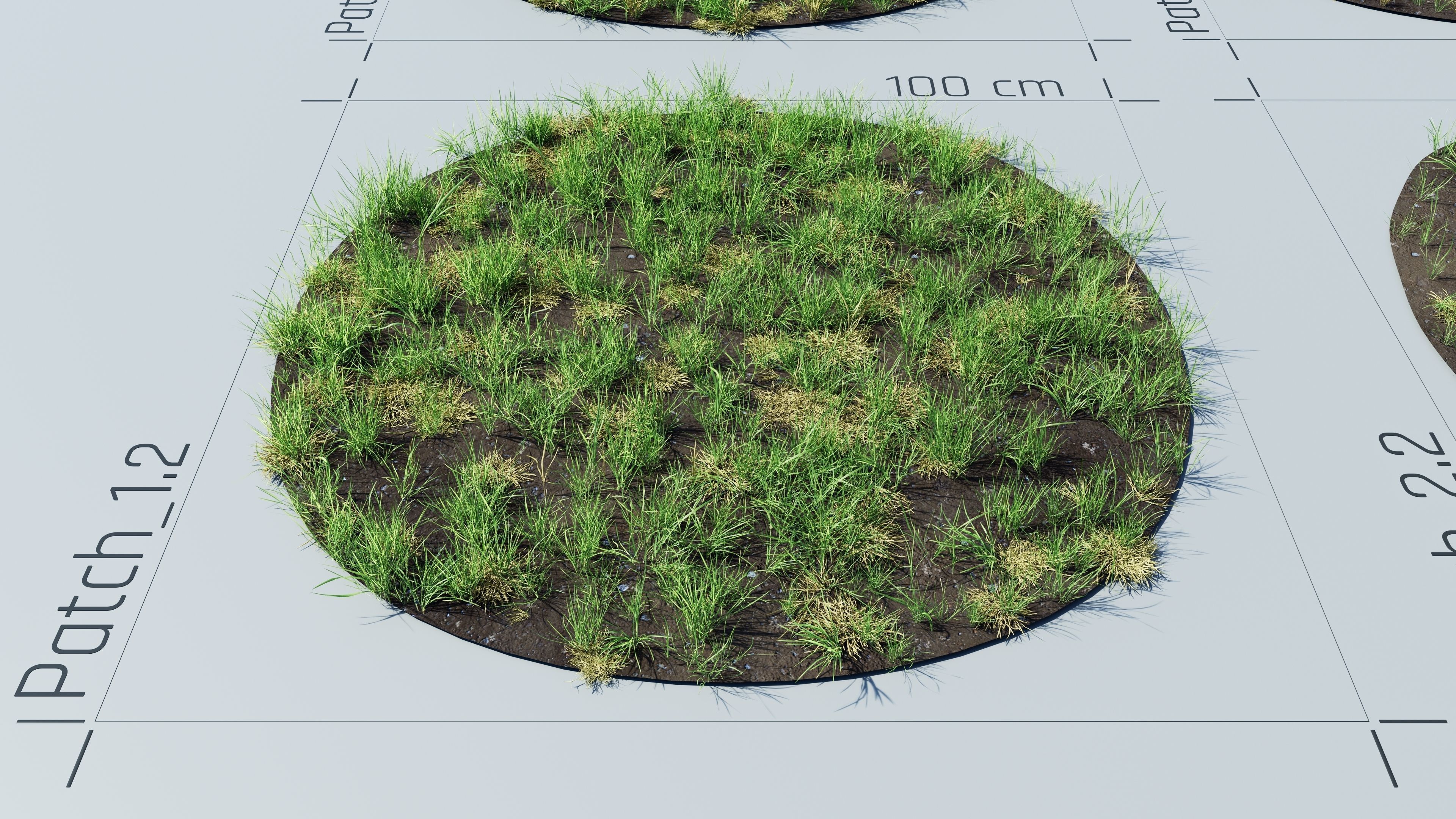 Realistic Grass Pack - CGrass v2 Low-poly 3D model_21