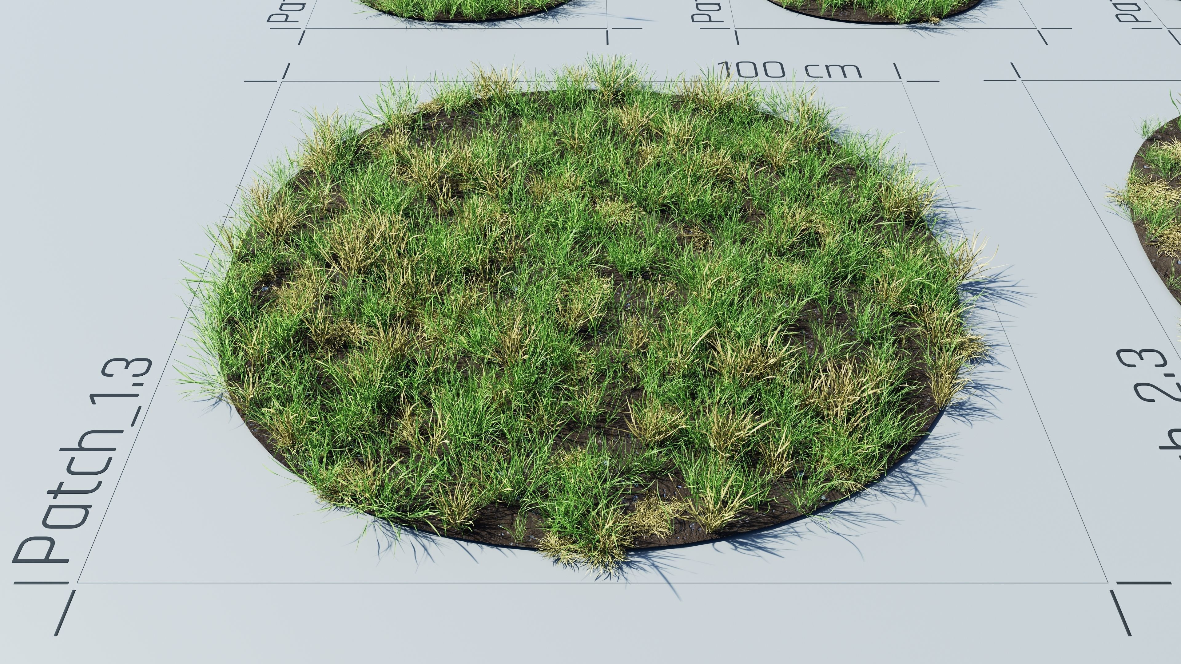 Realistic Grass Pack - CGrass v2 Low-poly 3D model_18