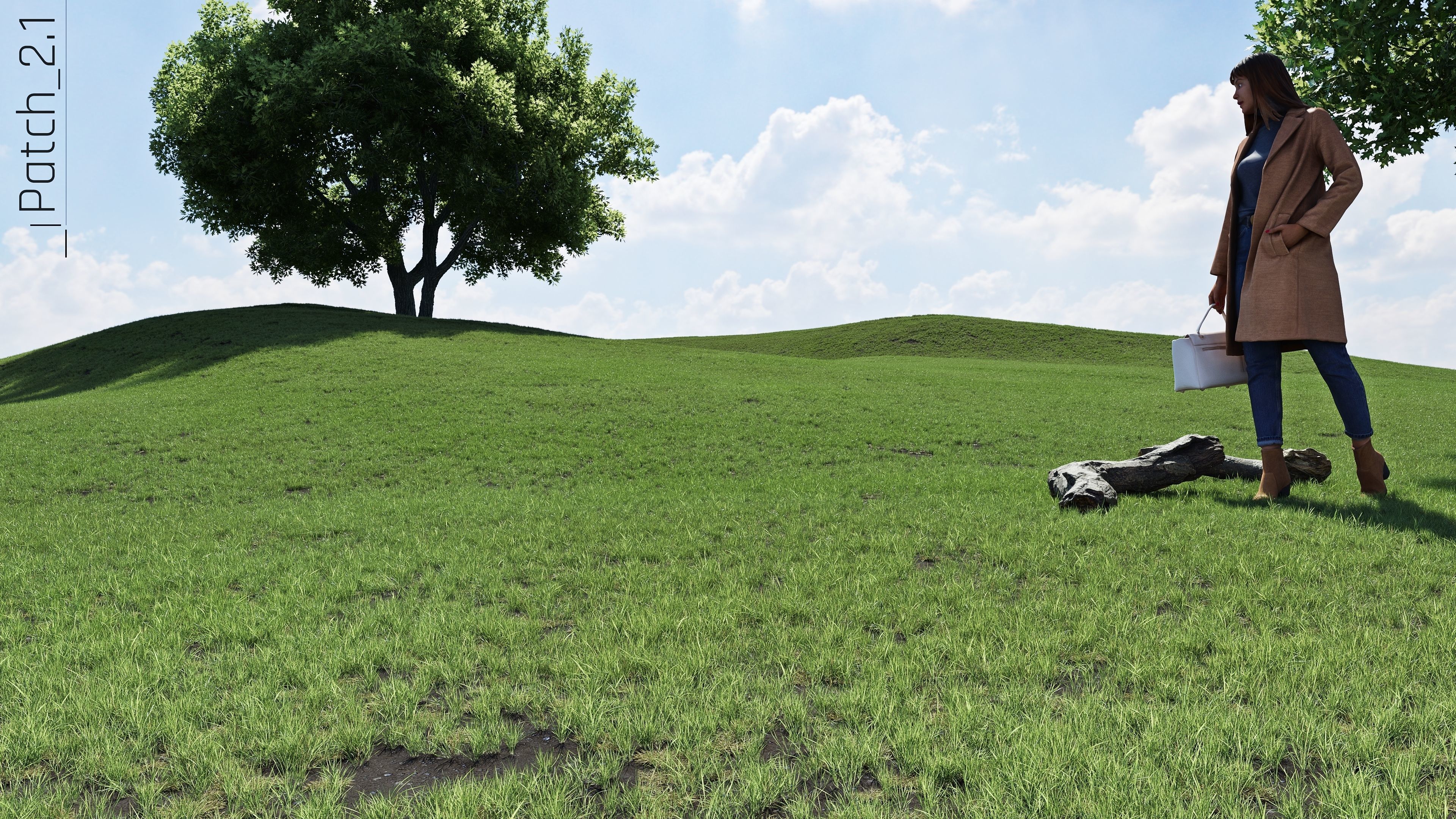 Realistic Grass Pack - CGrass v2 Low-poly 3D model_58