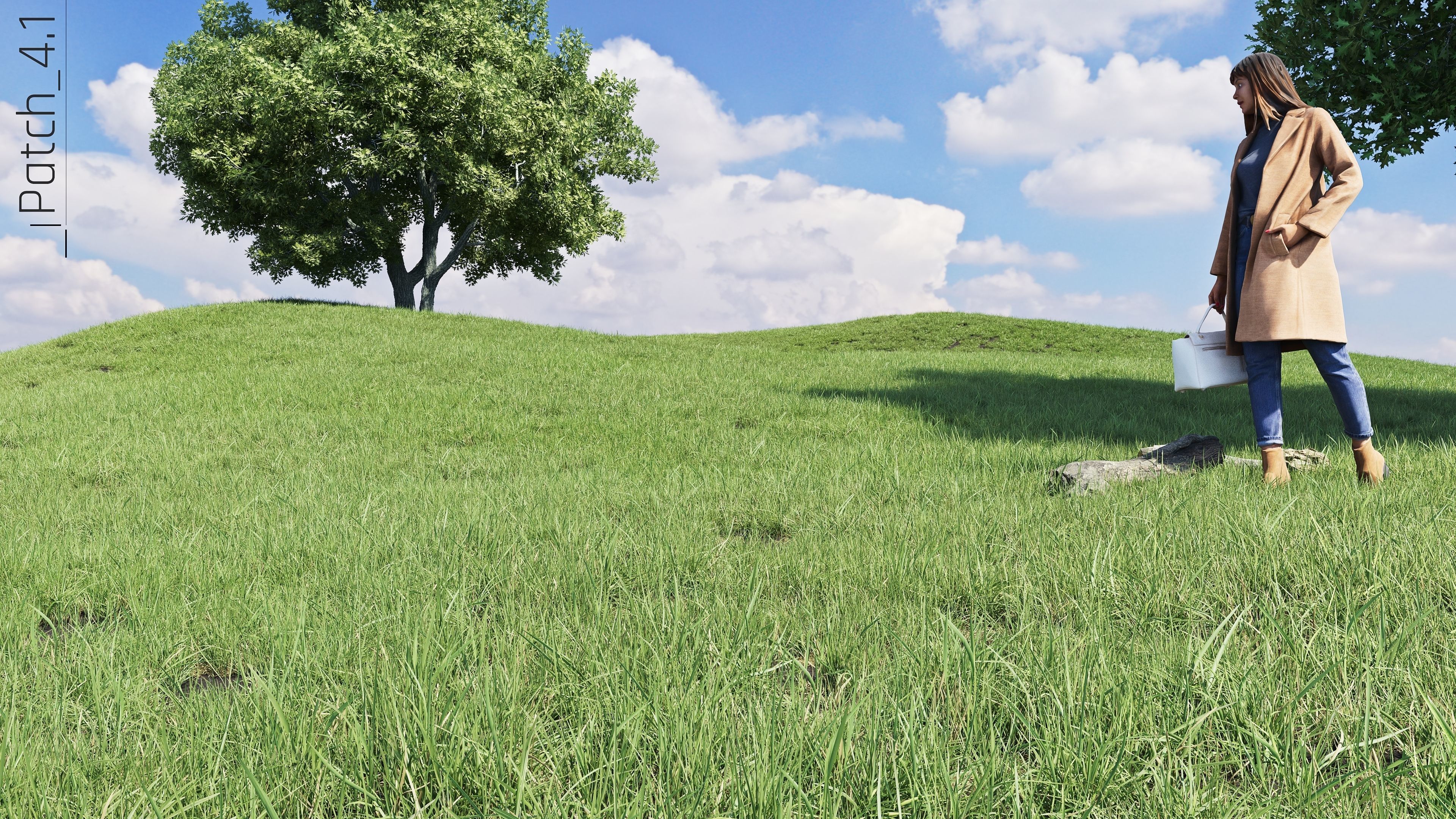 Realistic Grass Pack - CGrass v2 Low-poly 3D model_54