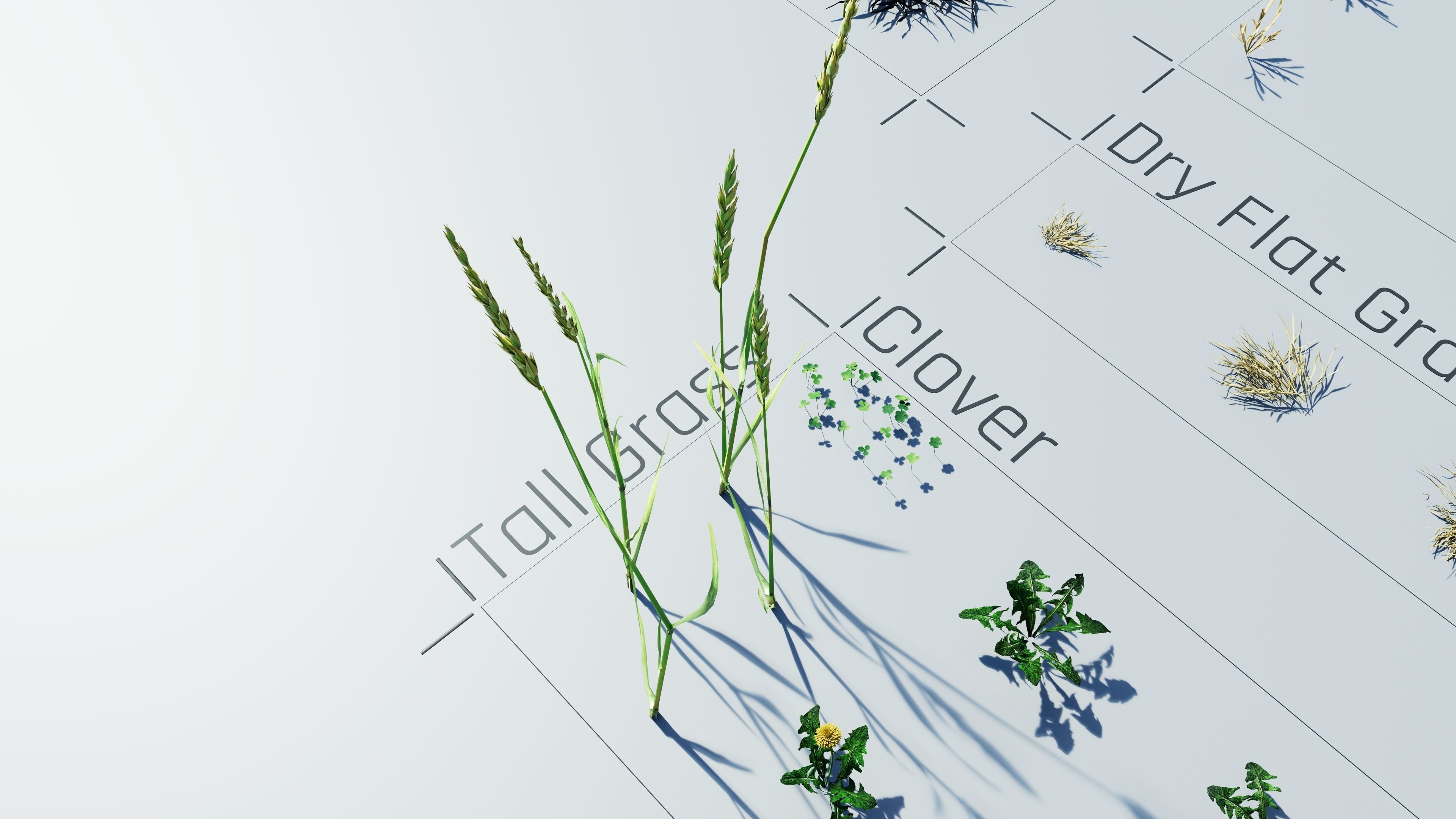 Realistic Grass Pack - CGrass v2 Low-poly 3D model_46