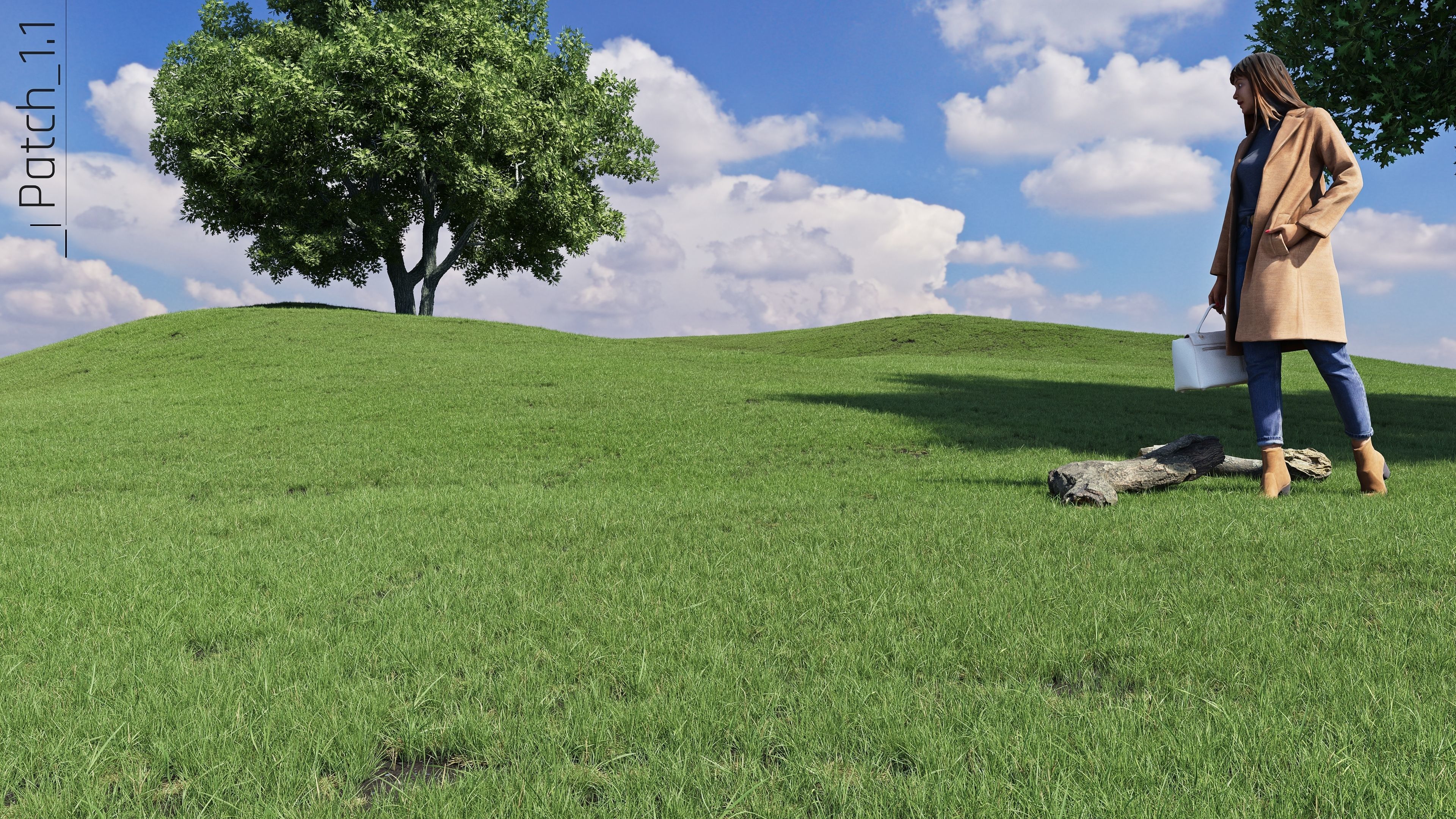 Realistic Grass Pack - CGrass v2 Low-poly 3D model_52