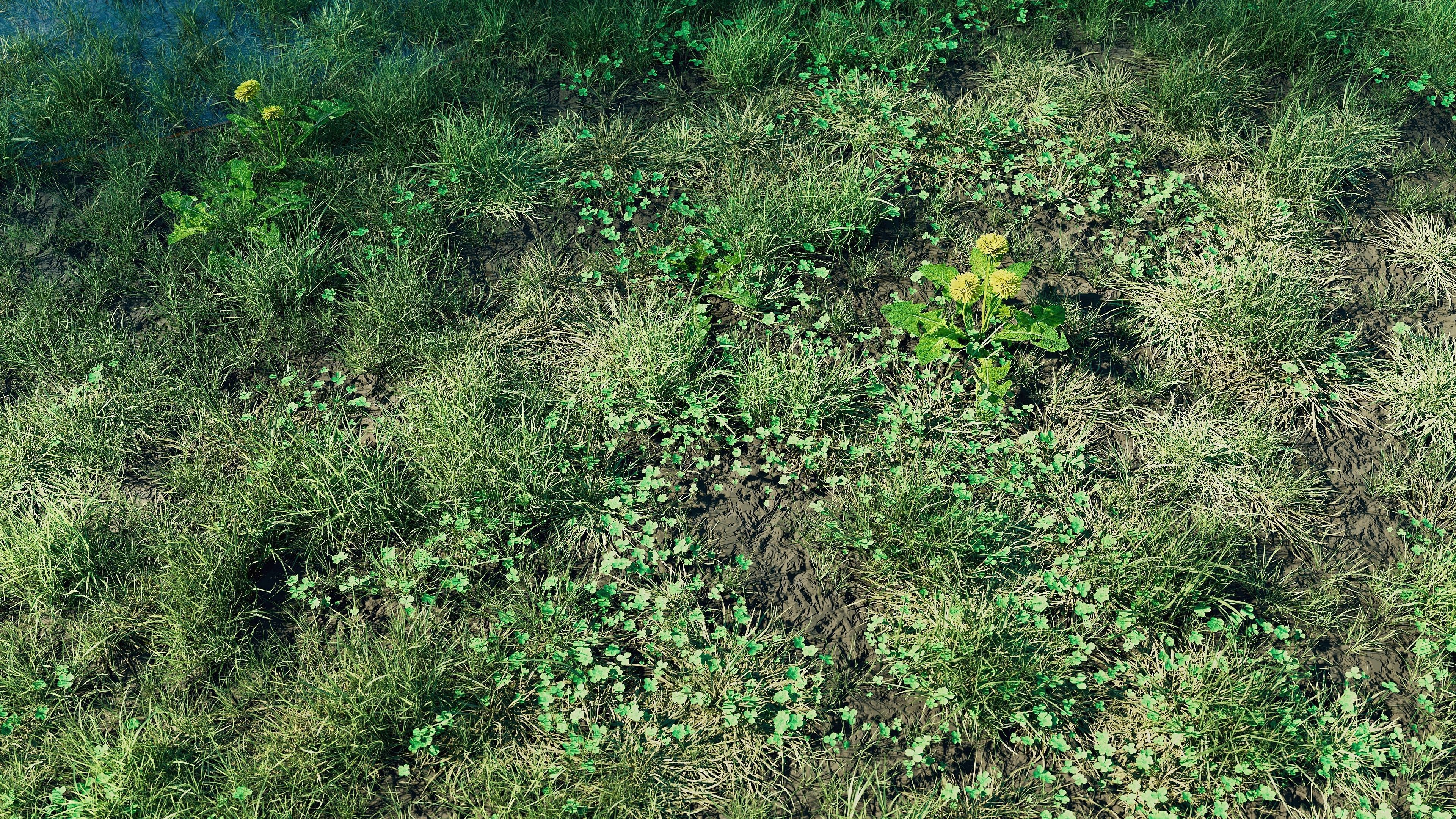 Realistic Grass Pack - CGrass v2 Low-poly 3D model_9