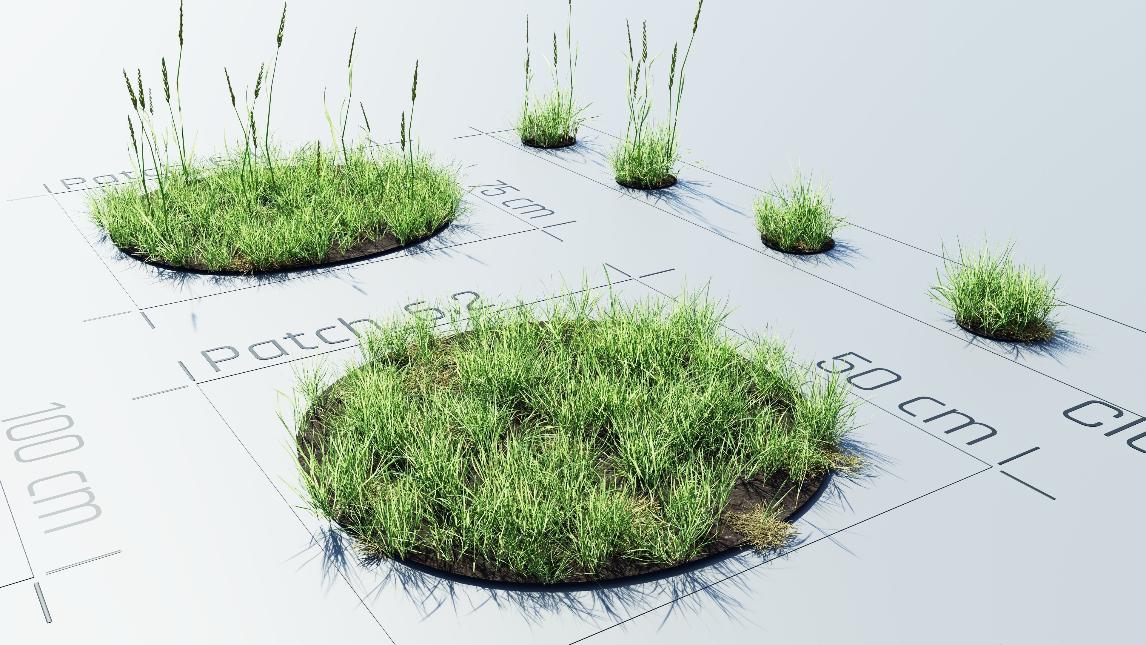 Realistic Grass Pack - CGrass v2 Low-poly 3D model_25