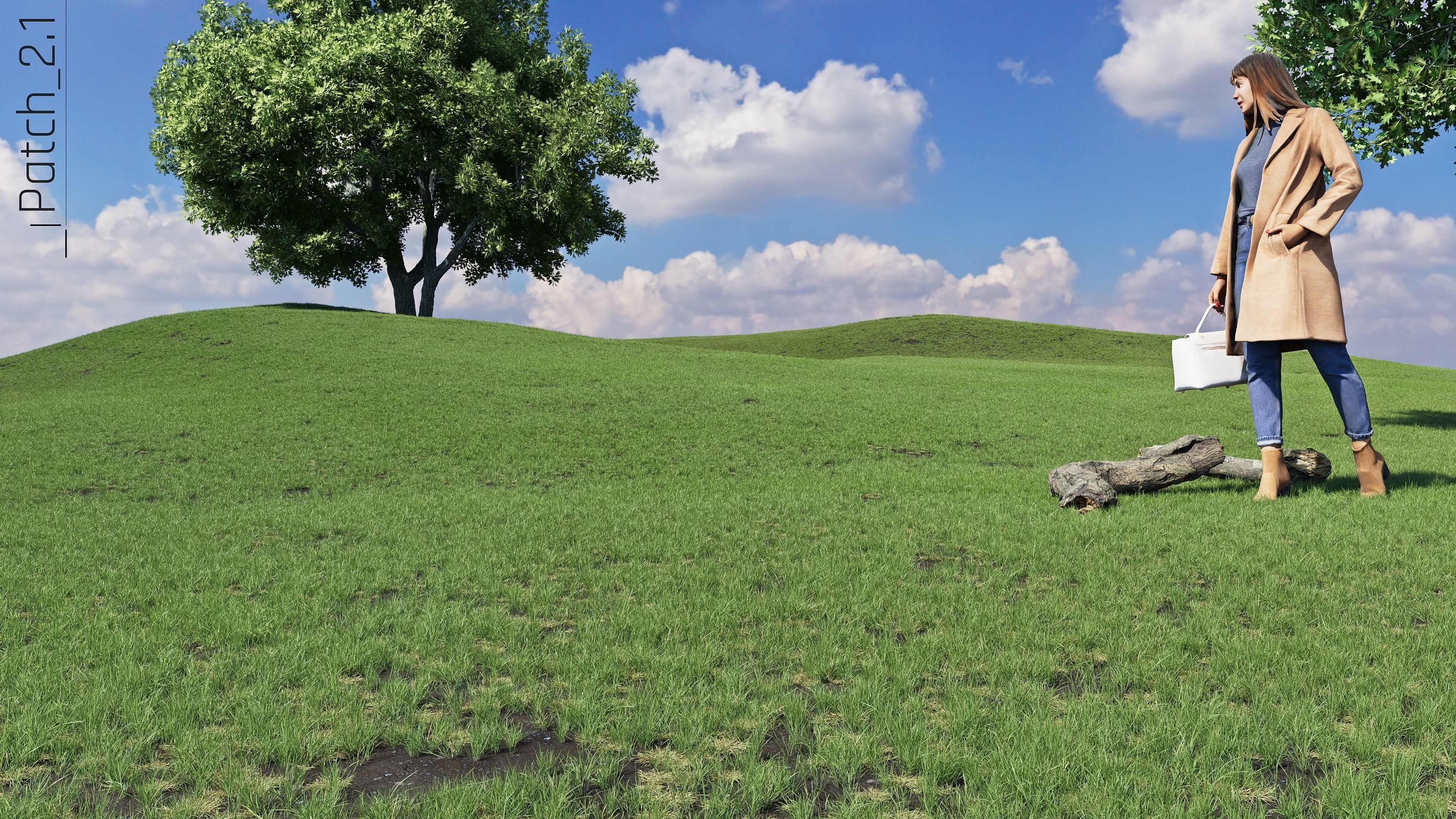 Realistic Grass Pack - CGrass v2 Low-poly 3D model_51