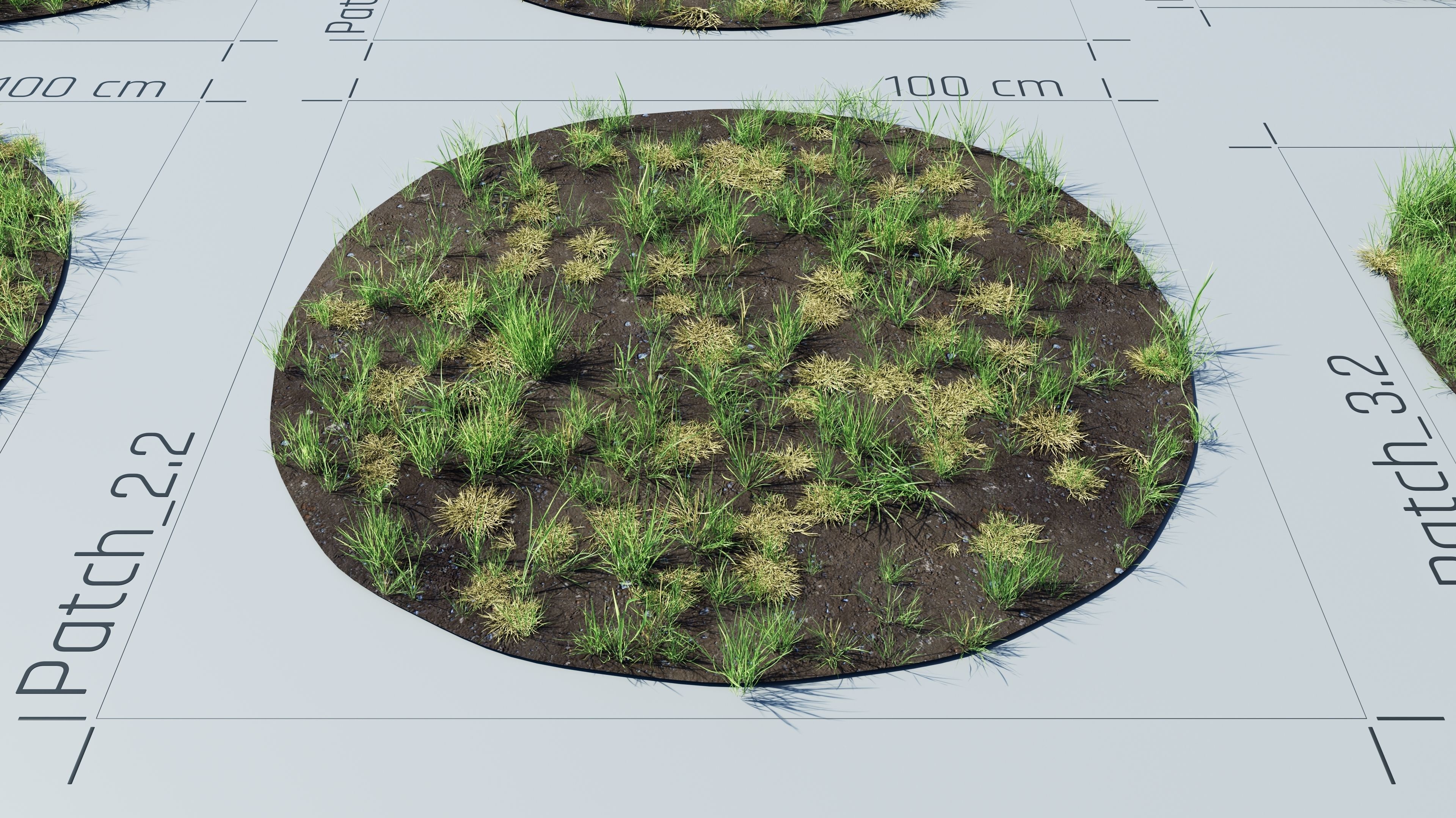 Realistic Grass Pack - CGrass v2 Low-poly 3D model_22
