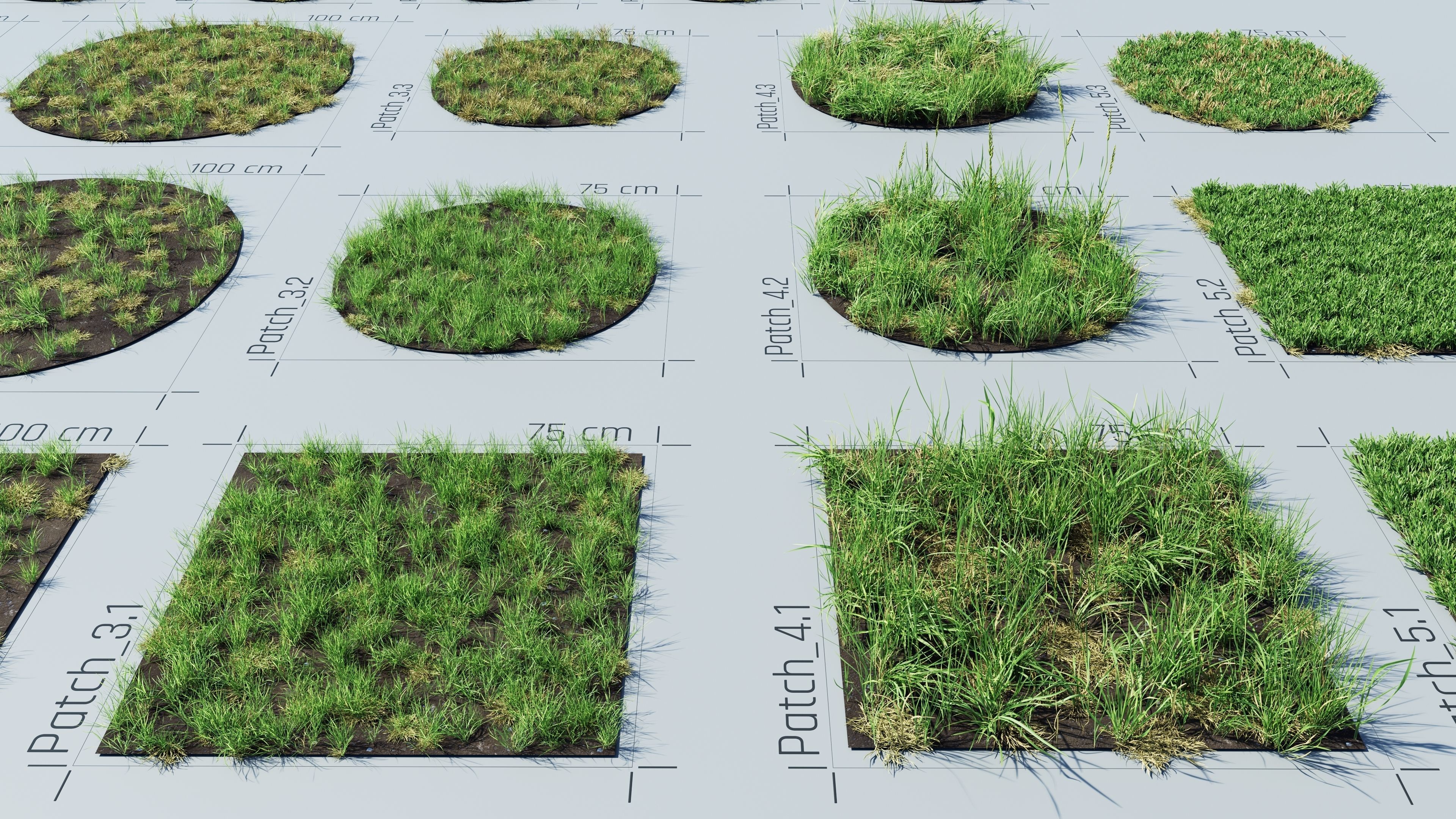 Realistic Grass Pack - CGrass v2 Low-poly 3D model_50