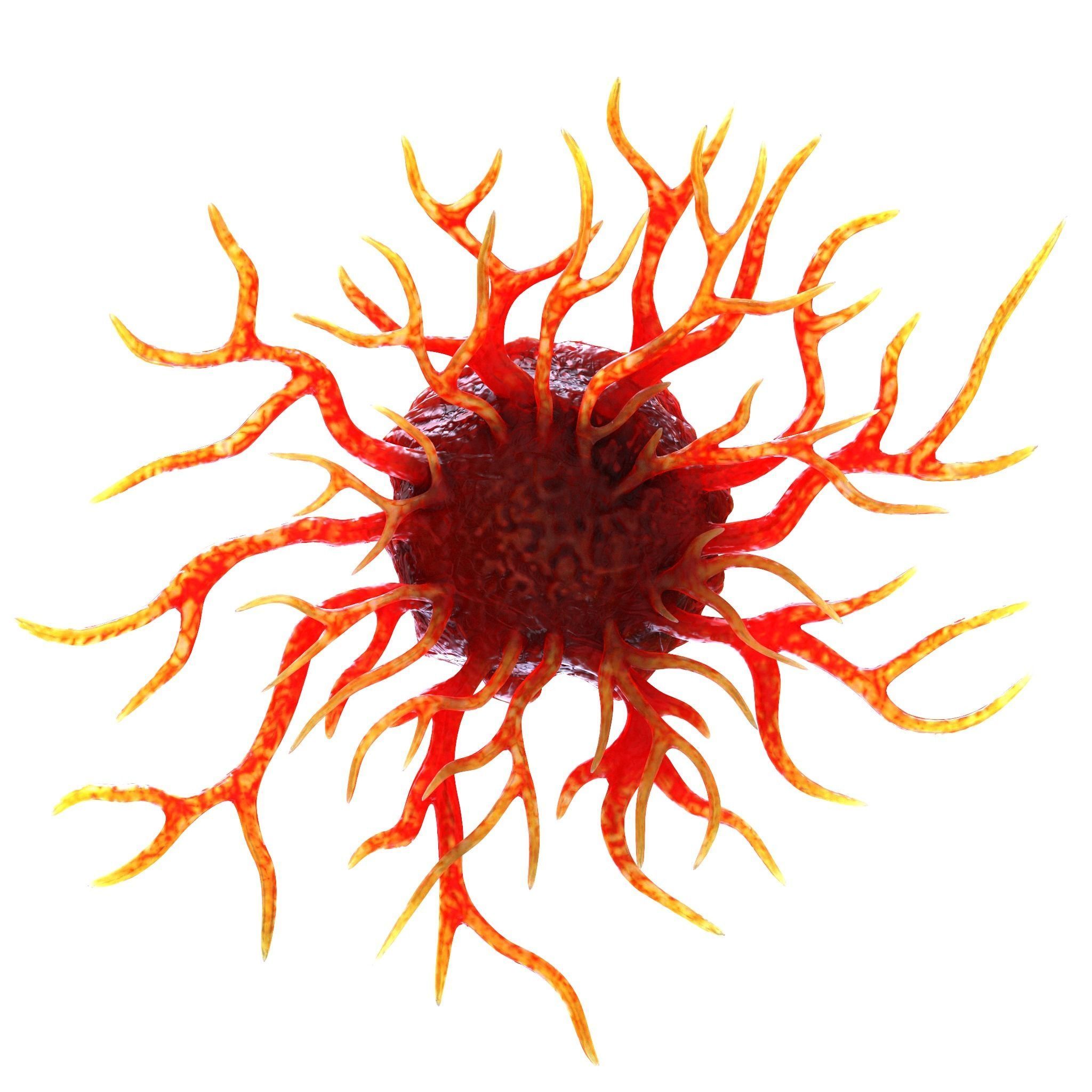 Cancer Cell 3D model_5