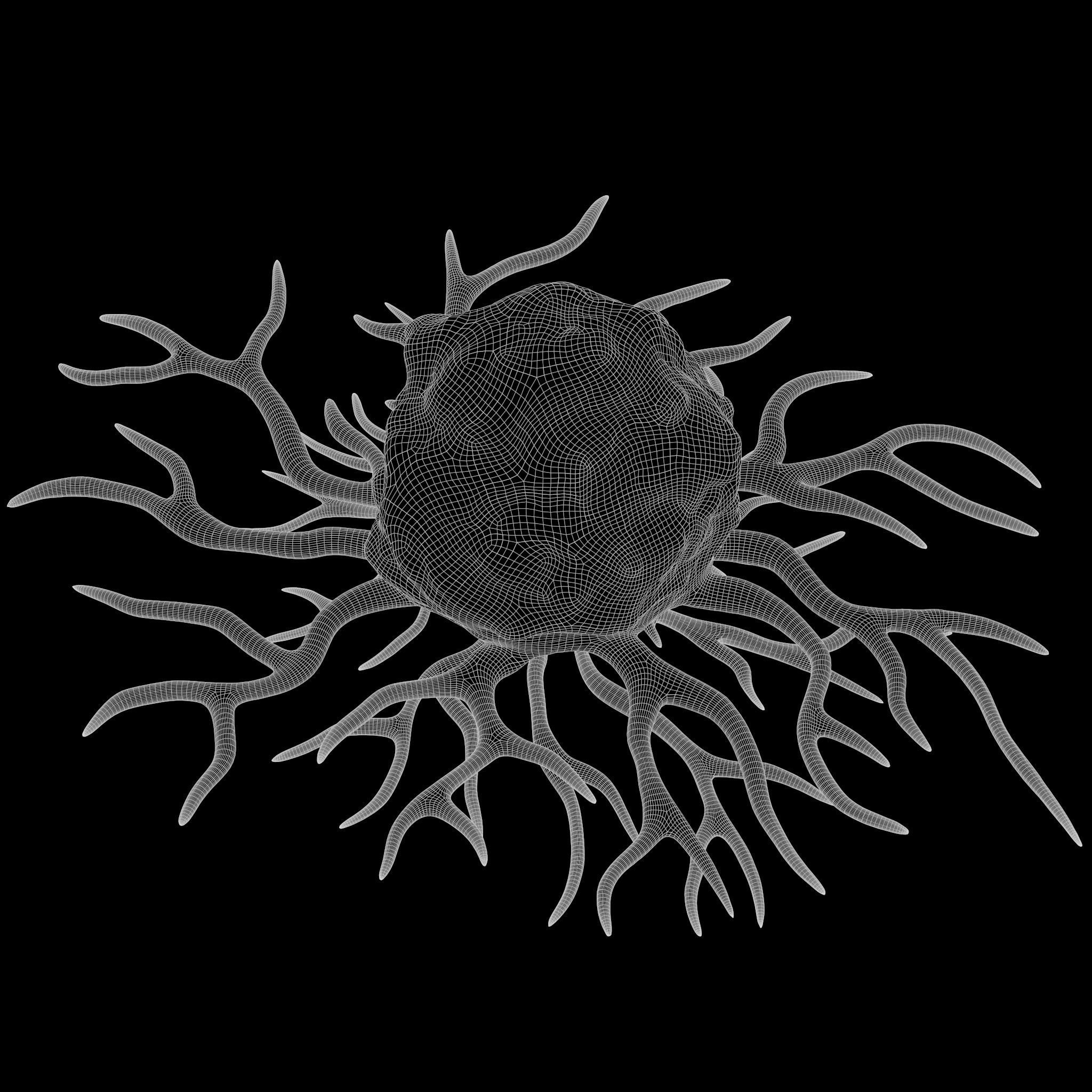 Cancer Cell 3D model_14