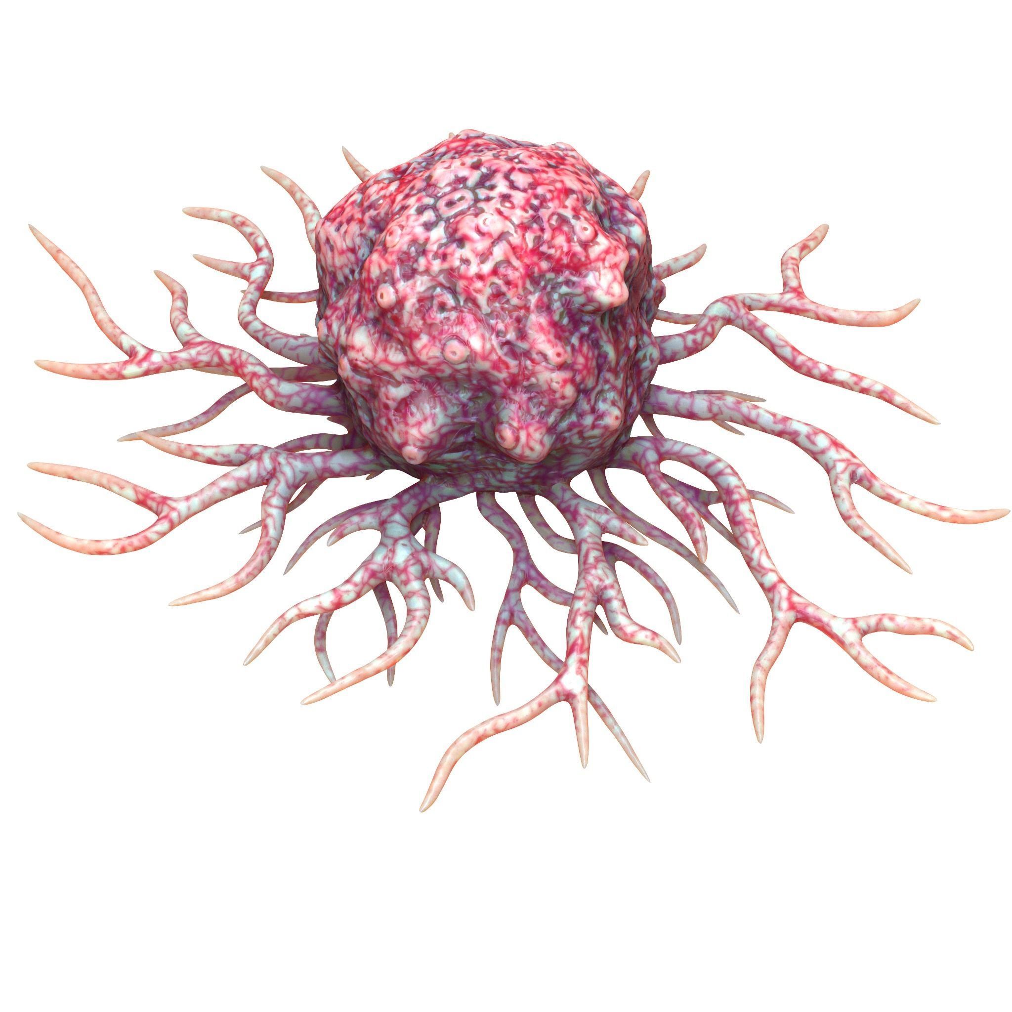 Cancer Cell 3D model_16