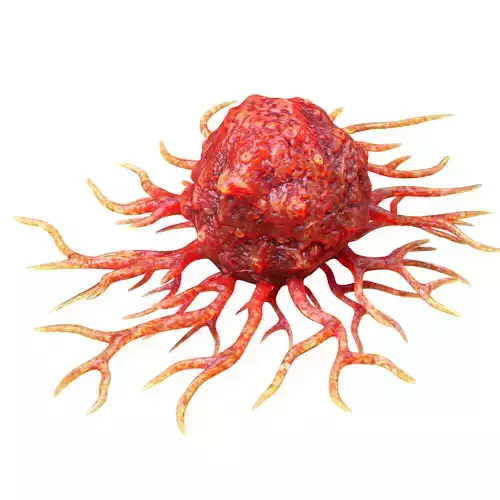 Cancer Cell 3D model