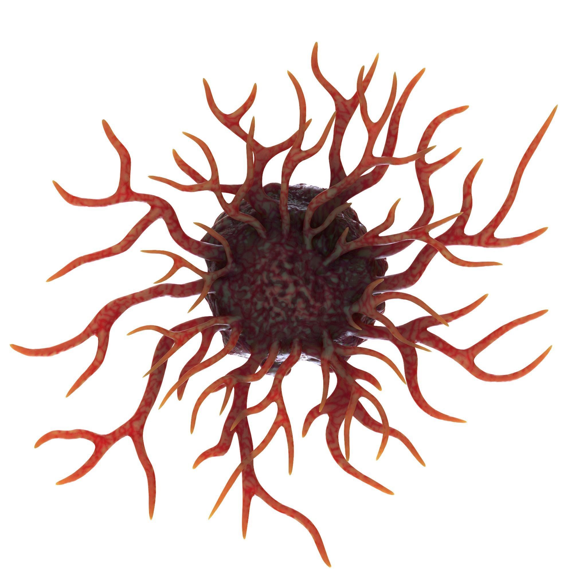 Cancer Cell 3D model_13