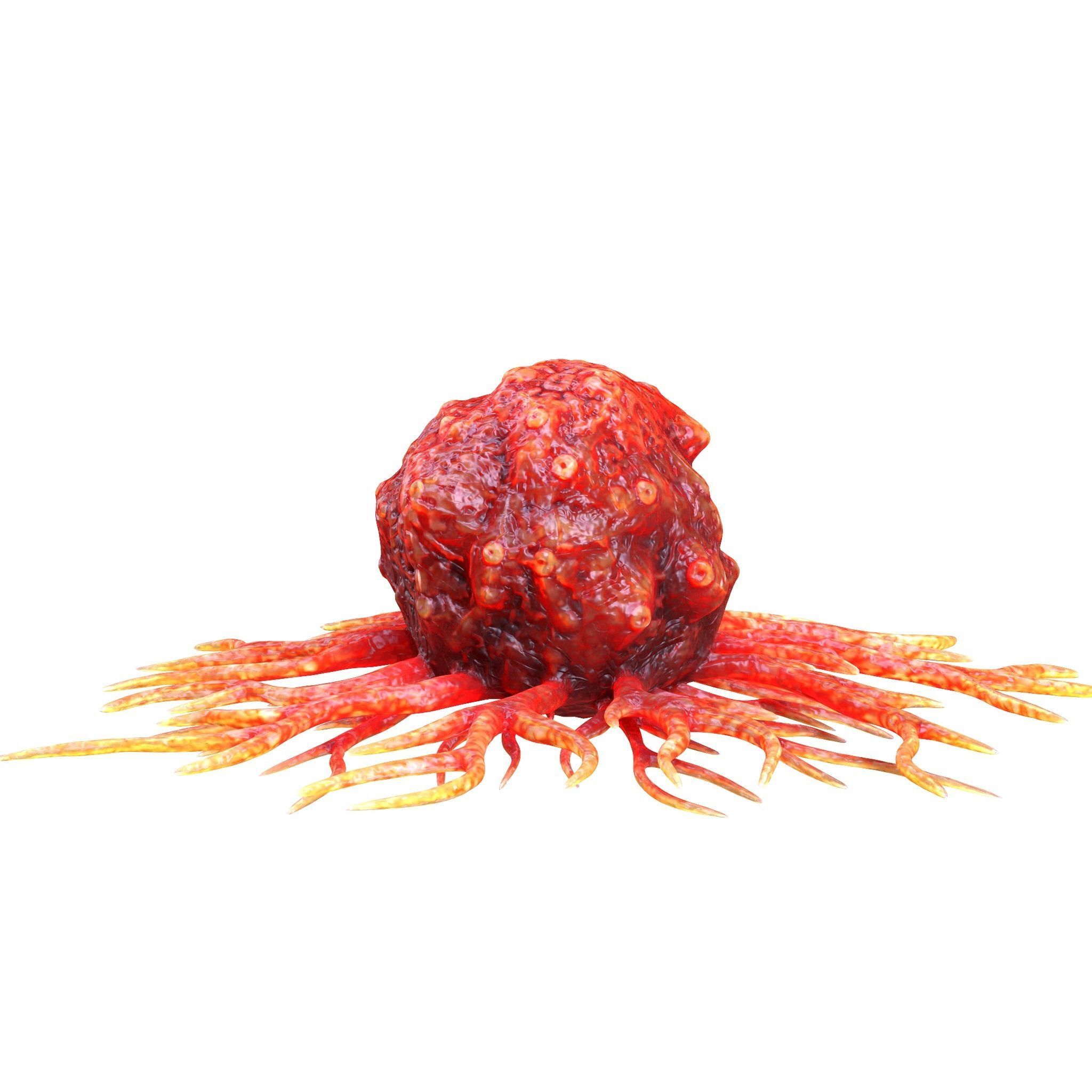 Cancer Cell 3D model_4