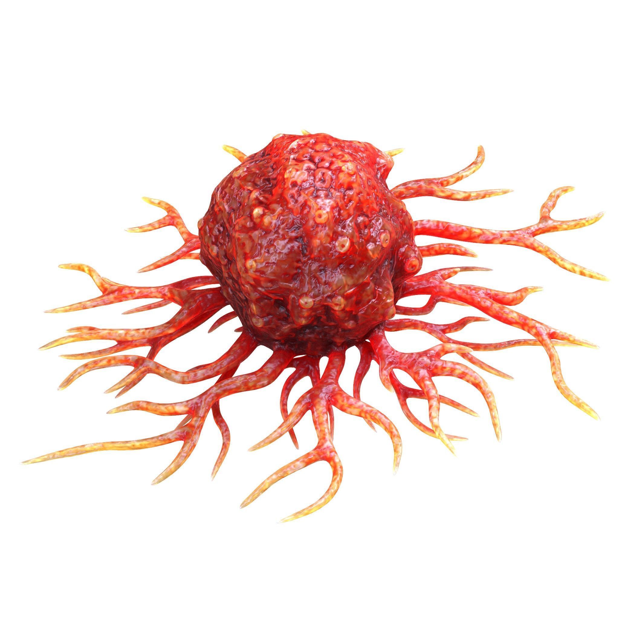 Cancer Cell 3D model_3