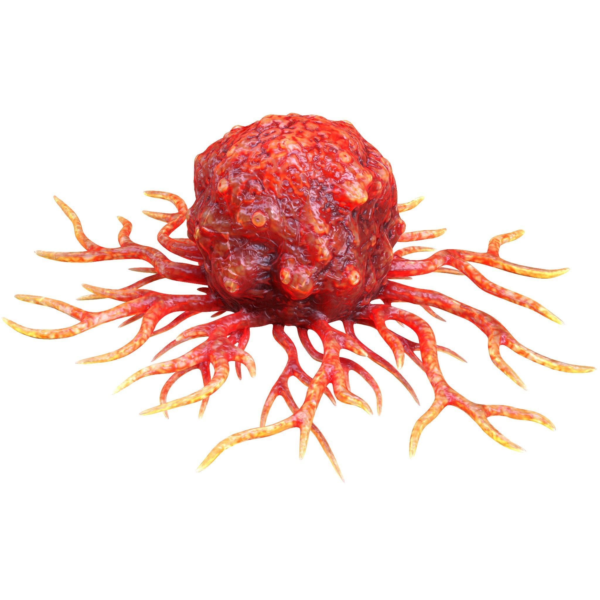 Cancer Cell 3D model_1