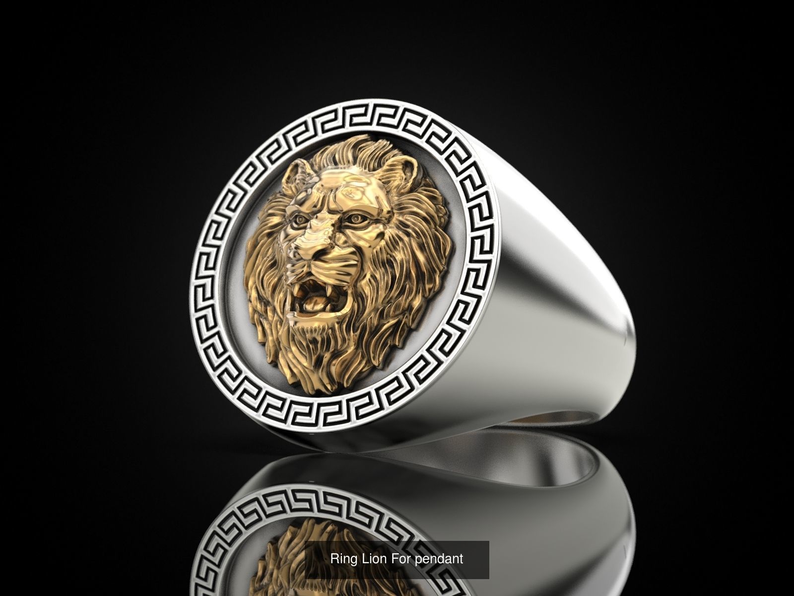 Collection Lion Ring  and Pendant _4