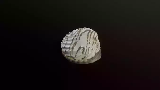 3D Scan Cake 11