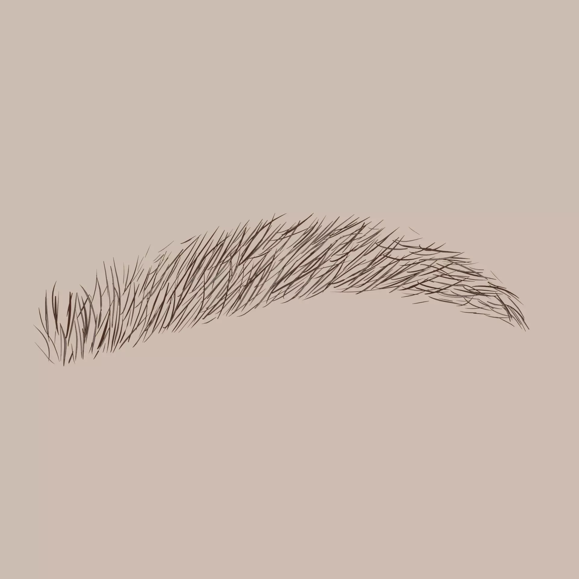 Low-poly eyebrows for character Low-poly 3D model_0