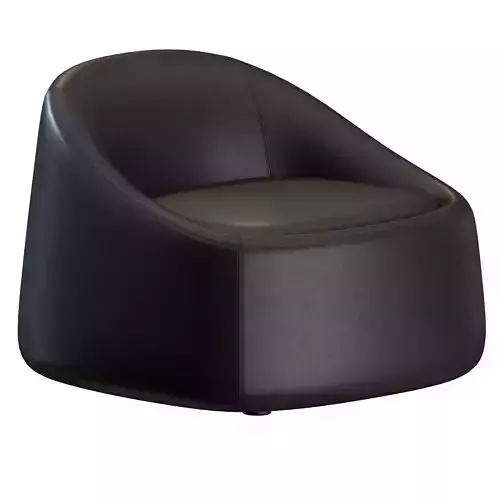 Ripamonti Armchair by DePadova