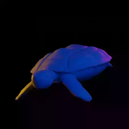 Turtle