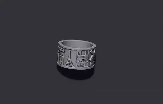 France ring 3D print model