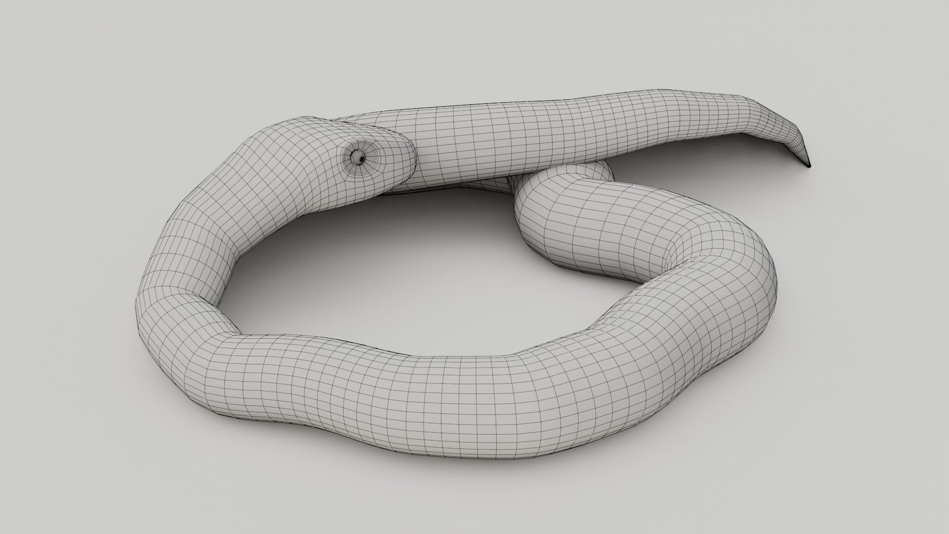 Python Snake - Low Poly -  Game Ready - PBR Low-poly 3D model_14