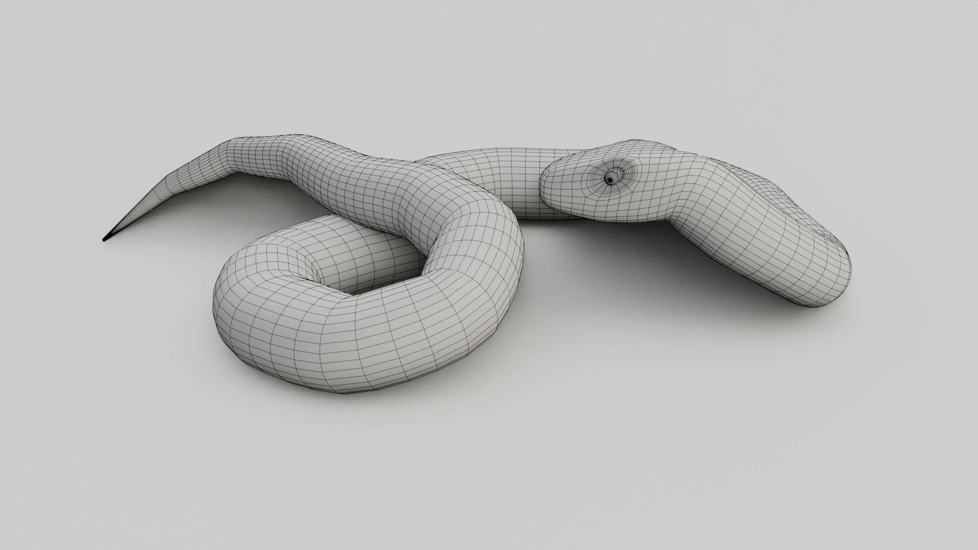Python Snake - Low Poly -  Game Ready - PBR Low-poly 3D model_15