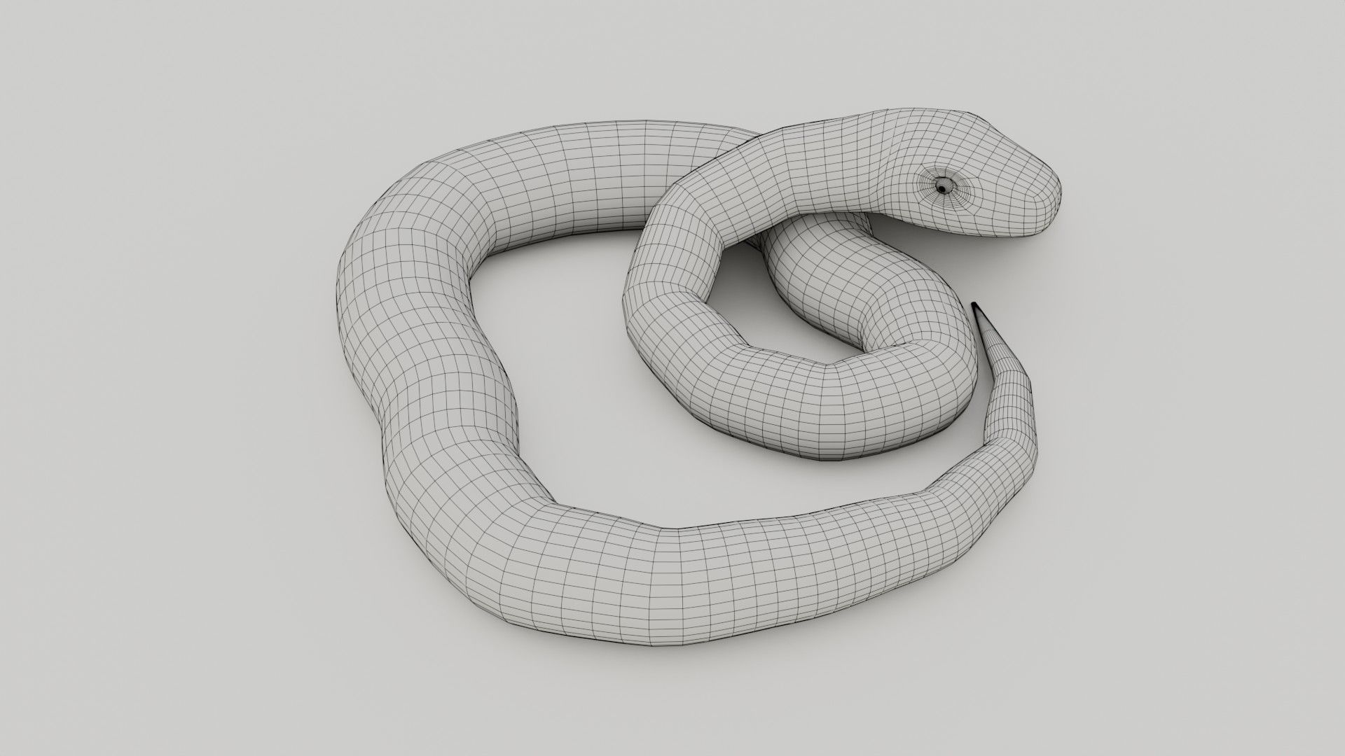 Python Snake - Low Poly -  Game Ready - PBR Low-poly 3D model_11