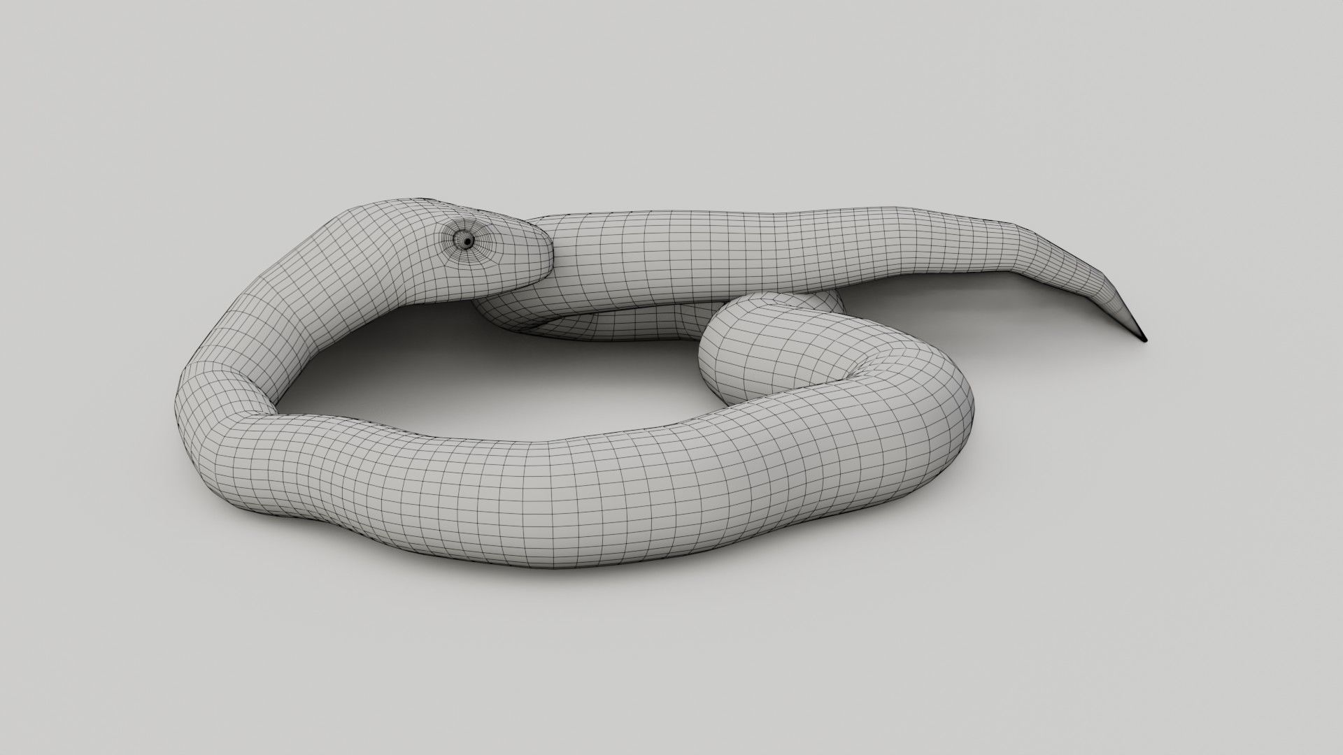 Python Snake - Low Poly -  Game Ready - PBR Low-poly 3D model_19
