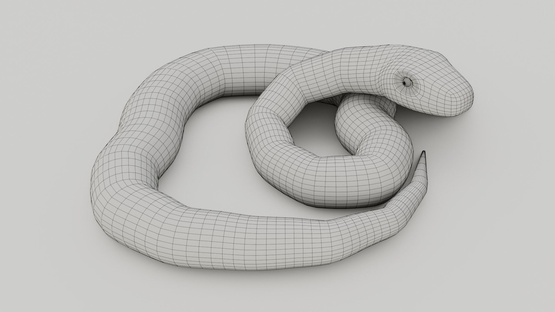 Python Snake - Low Poly -  Game Ready - PBR Low-poly 3D model_10