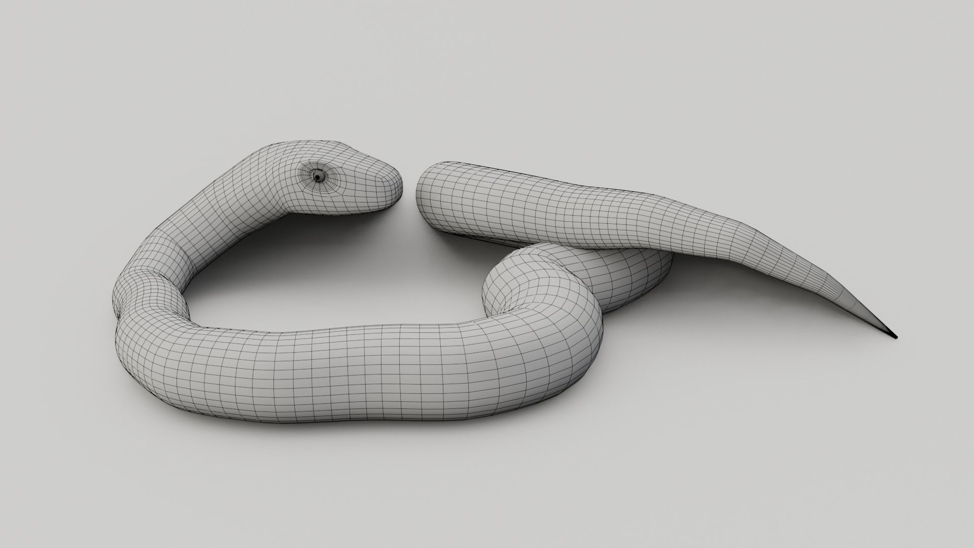 Python Snake - Low Poly -  Game Ready - PBR Low-poly 3D model_16