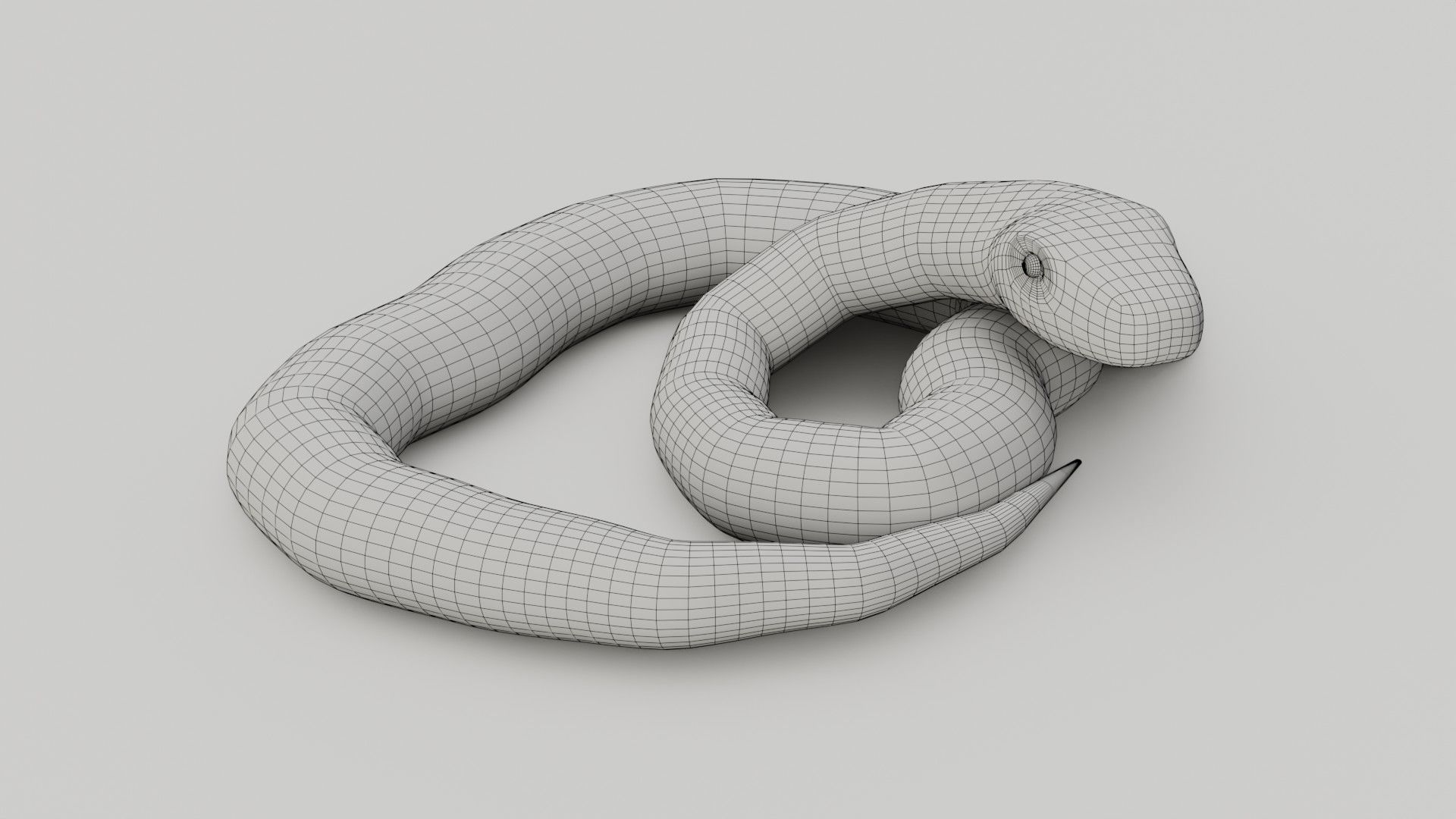 Python Snake - Low Poly -  Game Ready - PBR Low-poly 3D model_13