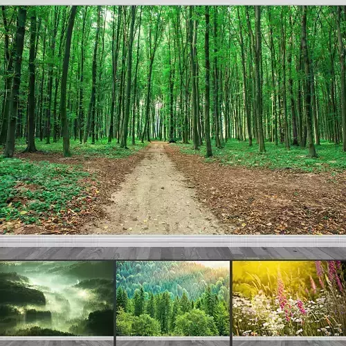 Photo Wallpaper No 6