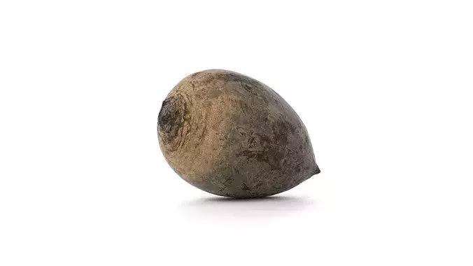 Beetroot 3D model photoscan Low-poly 3D model 2