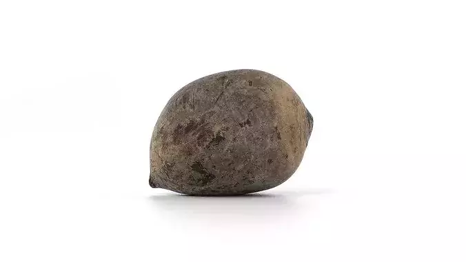 Beetroot 3D model photoscan Low-poly 3D model 7