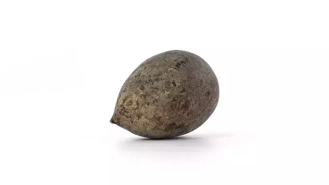 Beetroot 3D model photoscan Low-poly 3D model 5