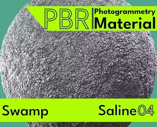 Swamp-Saline 04