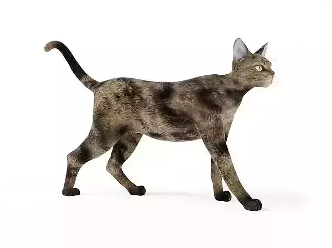 Feline Spotted Cat 3D model