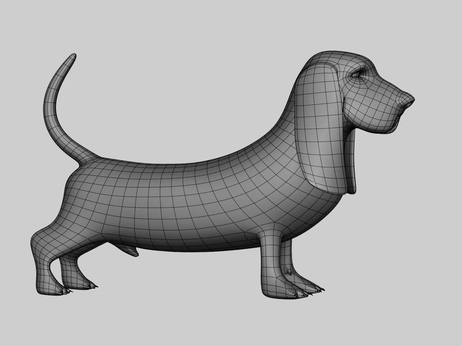 Basset Hound Basemesh for Sculpt Ready Low-poly 3D model_26