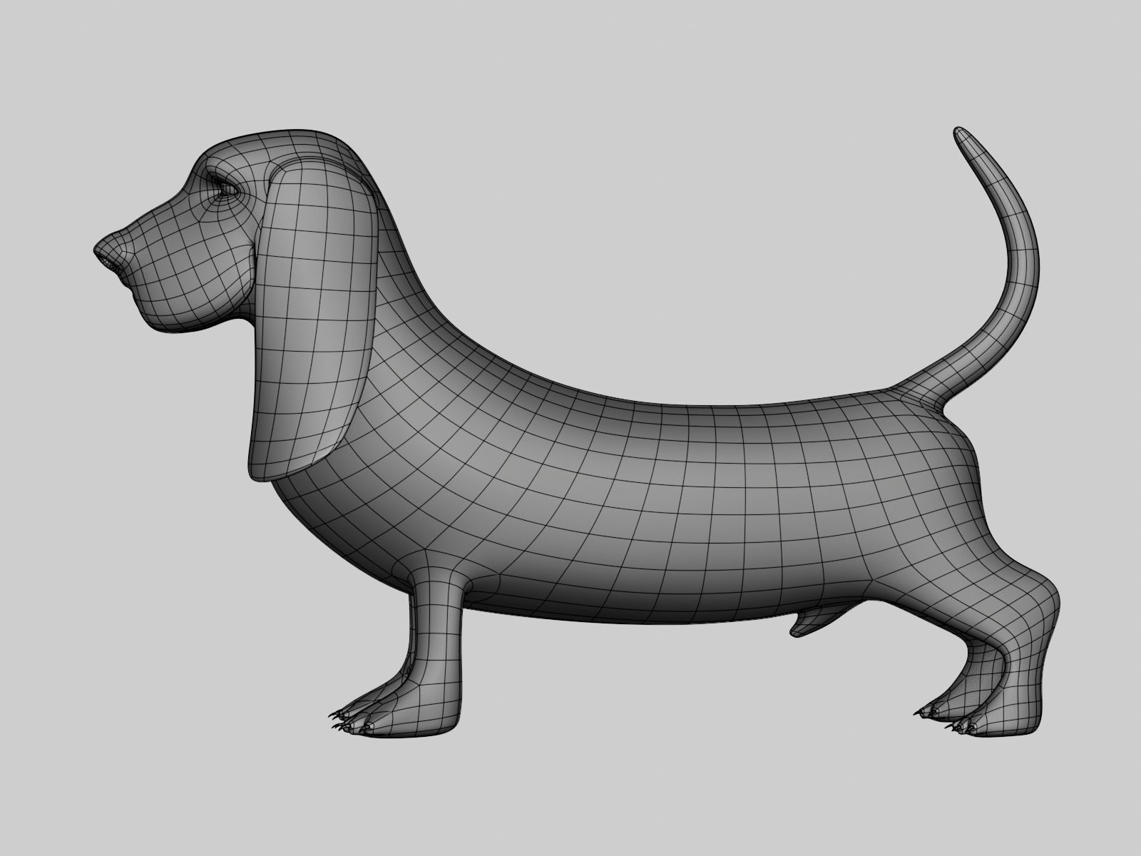 Basset Hound Basemesh for Sculpt Ready Low-poly 3D model_6