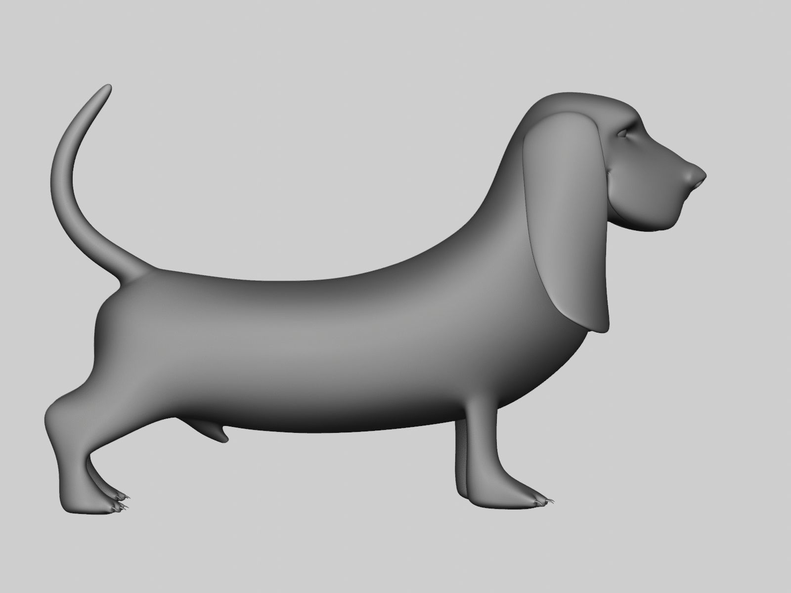 Basset Hound Basemesh for Sculpt Ready Low-poly 3D model_23