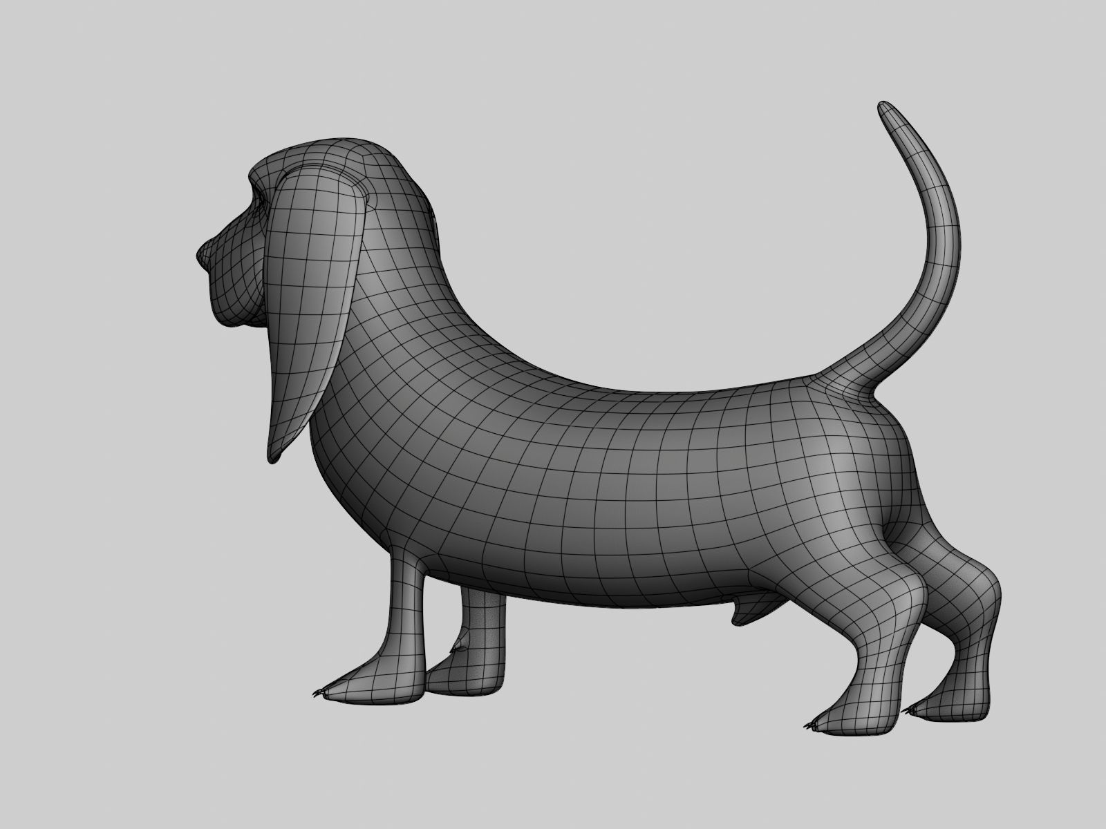 Basset Hound Basemesh for Sculpt Ready Low-poly 3D model_10